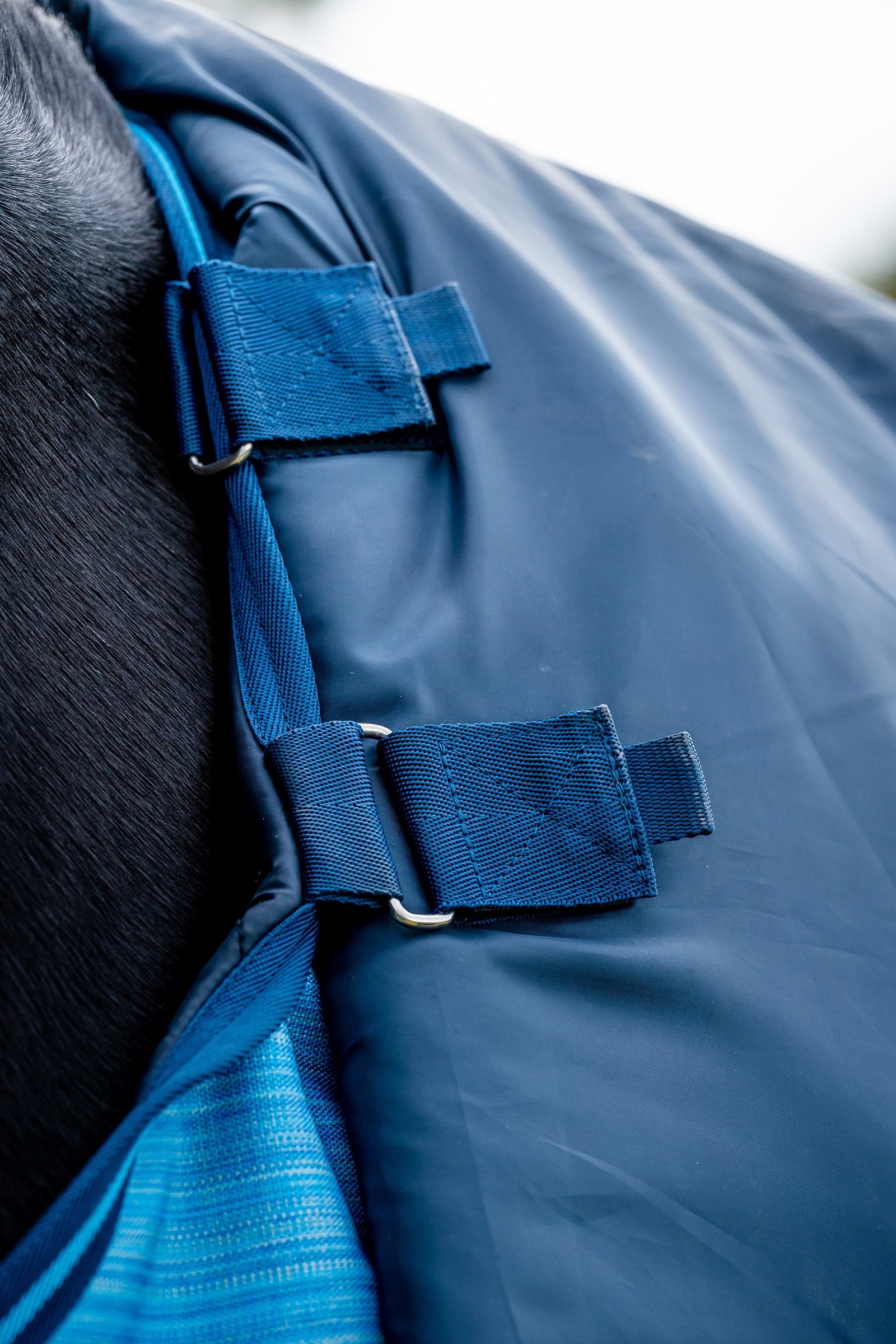 Horseware Amigo Hero 900 Revive Plus Turnout Rug With Detachable Neck, 200 g Horse Rugs