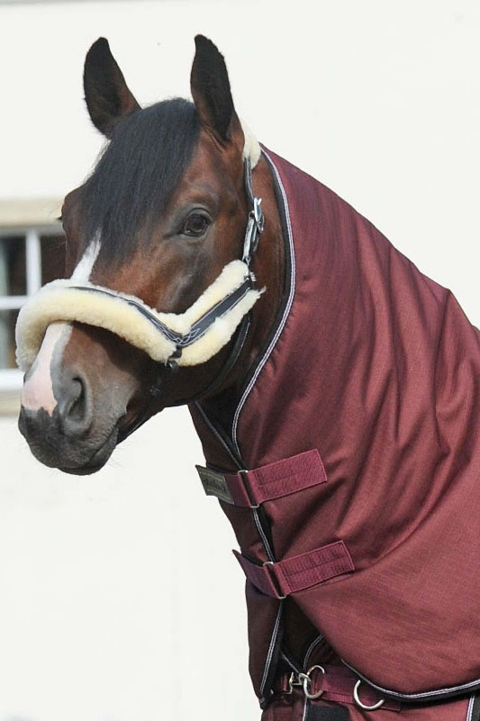 Kavalkade Hals voor Alaska IV, 100 g Paardendekens