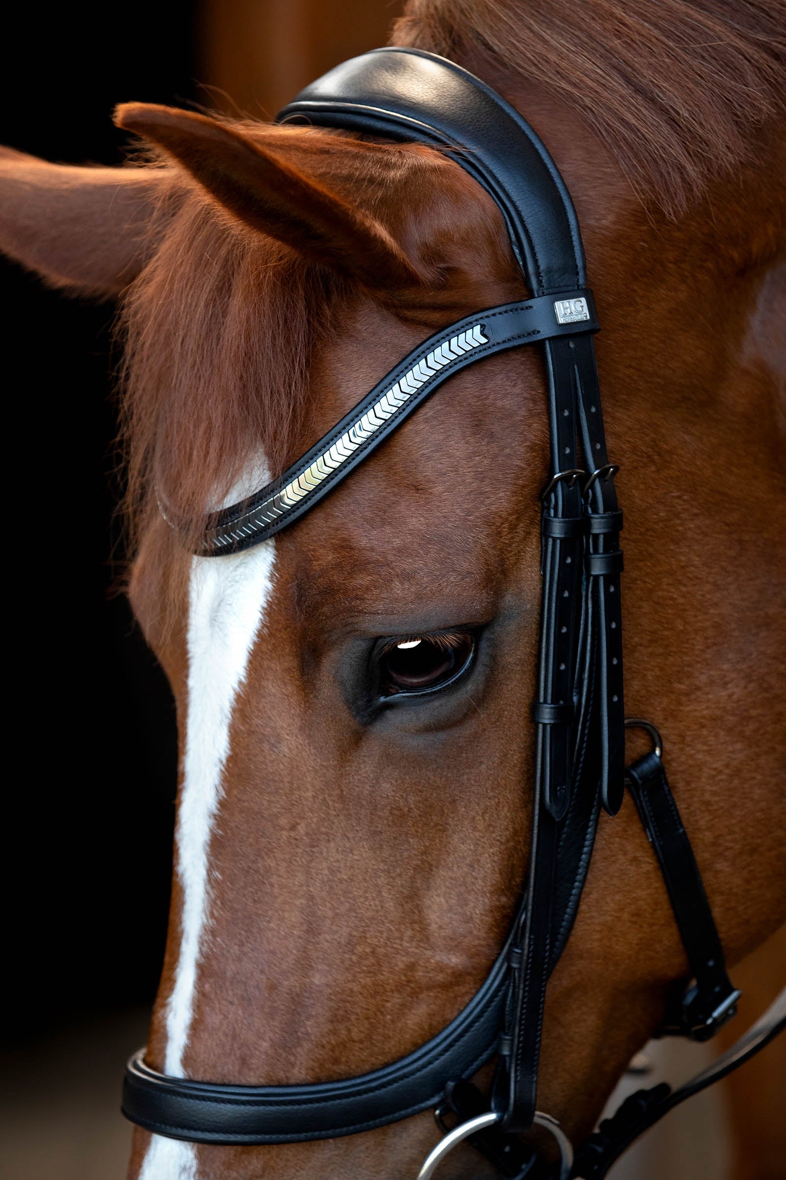 Horse Guard HorseGuard Tine Anatomic Bridle Bridles & Reins