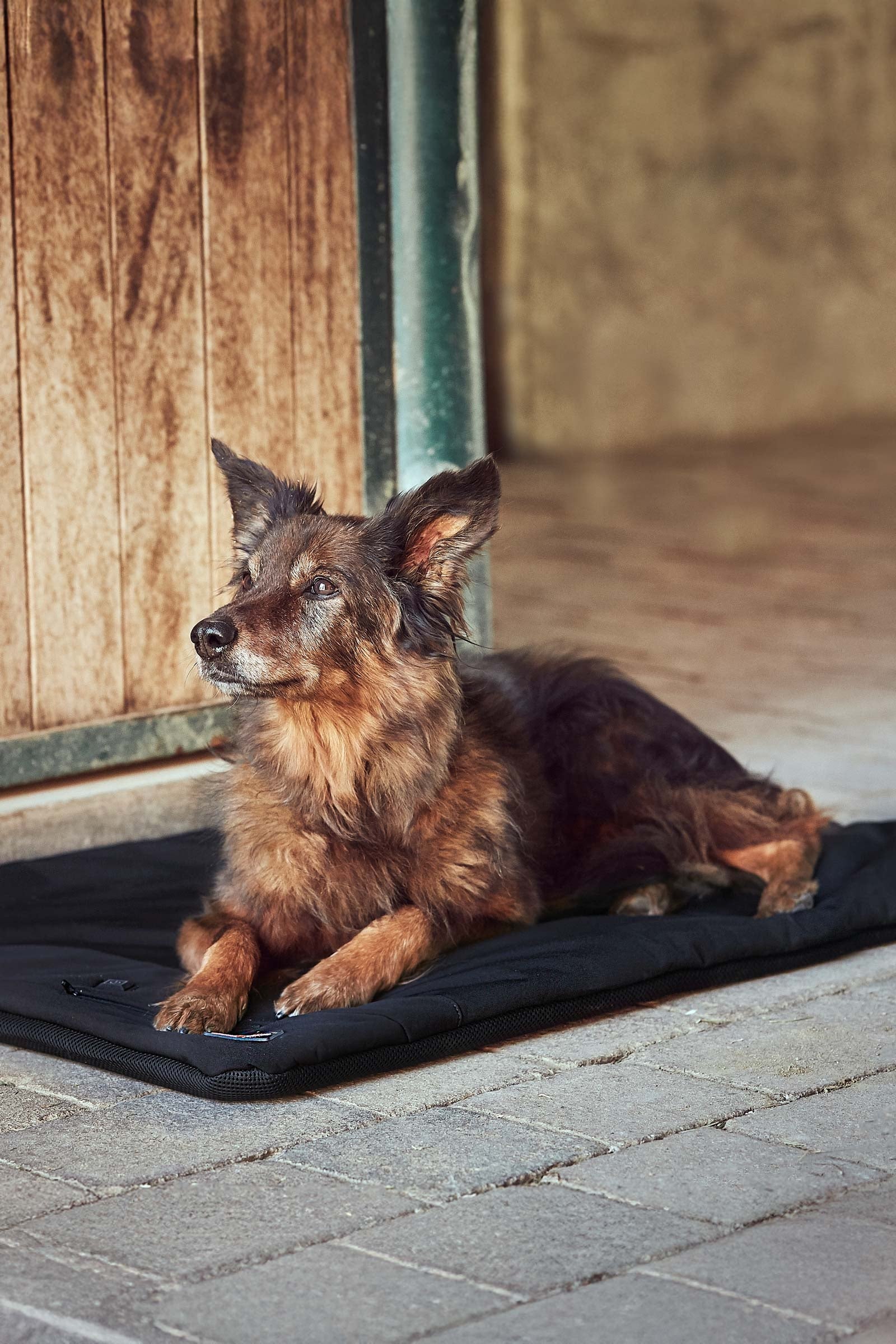 Catago CATAGO FIR-Tech Pro hondenkussen Hond