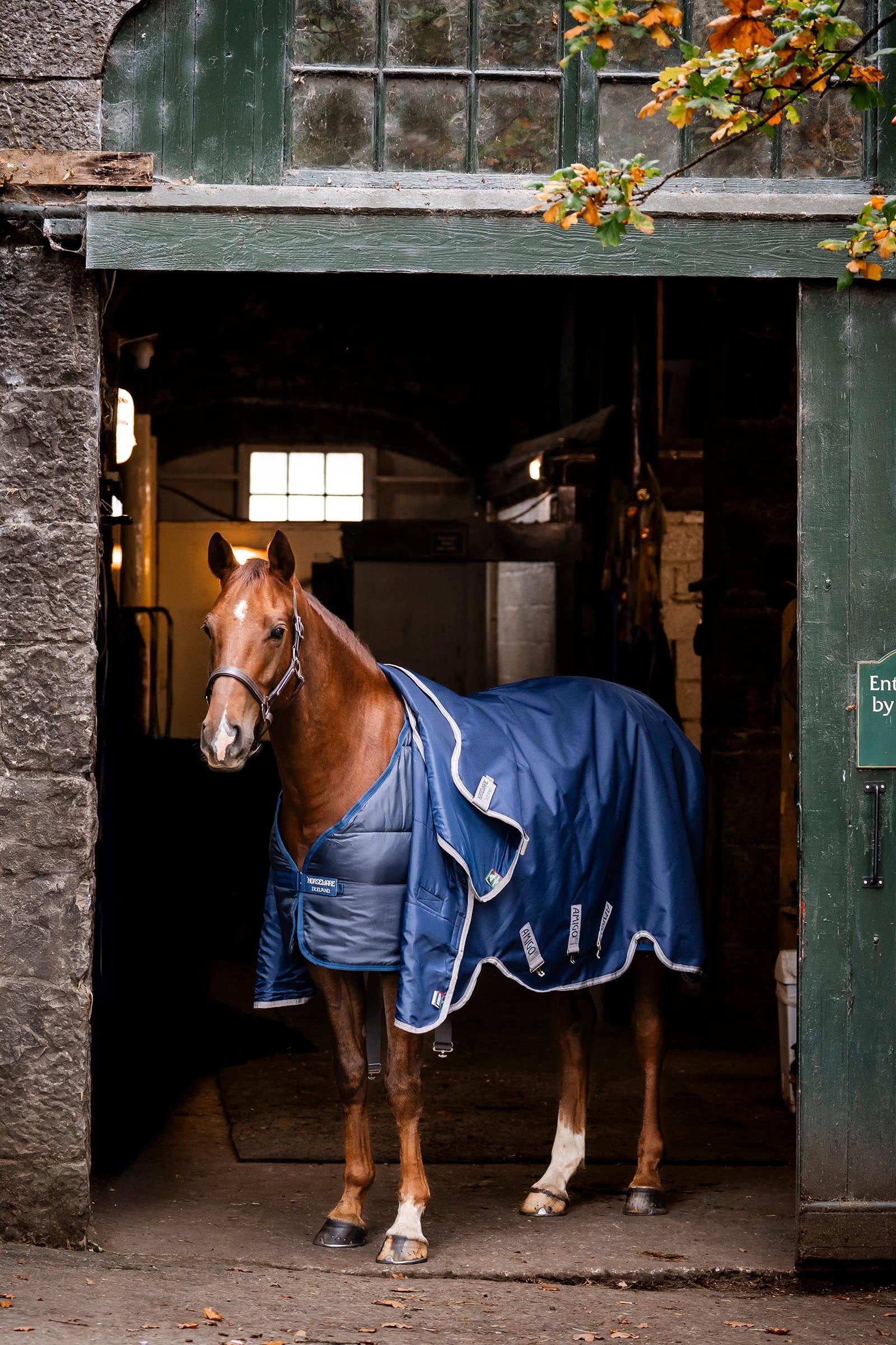 Horseware Liner 300g Horse Rugs