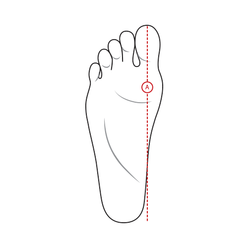 Foot.png