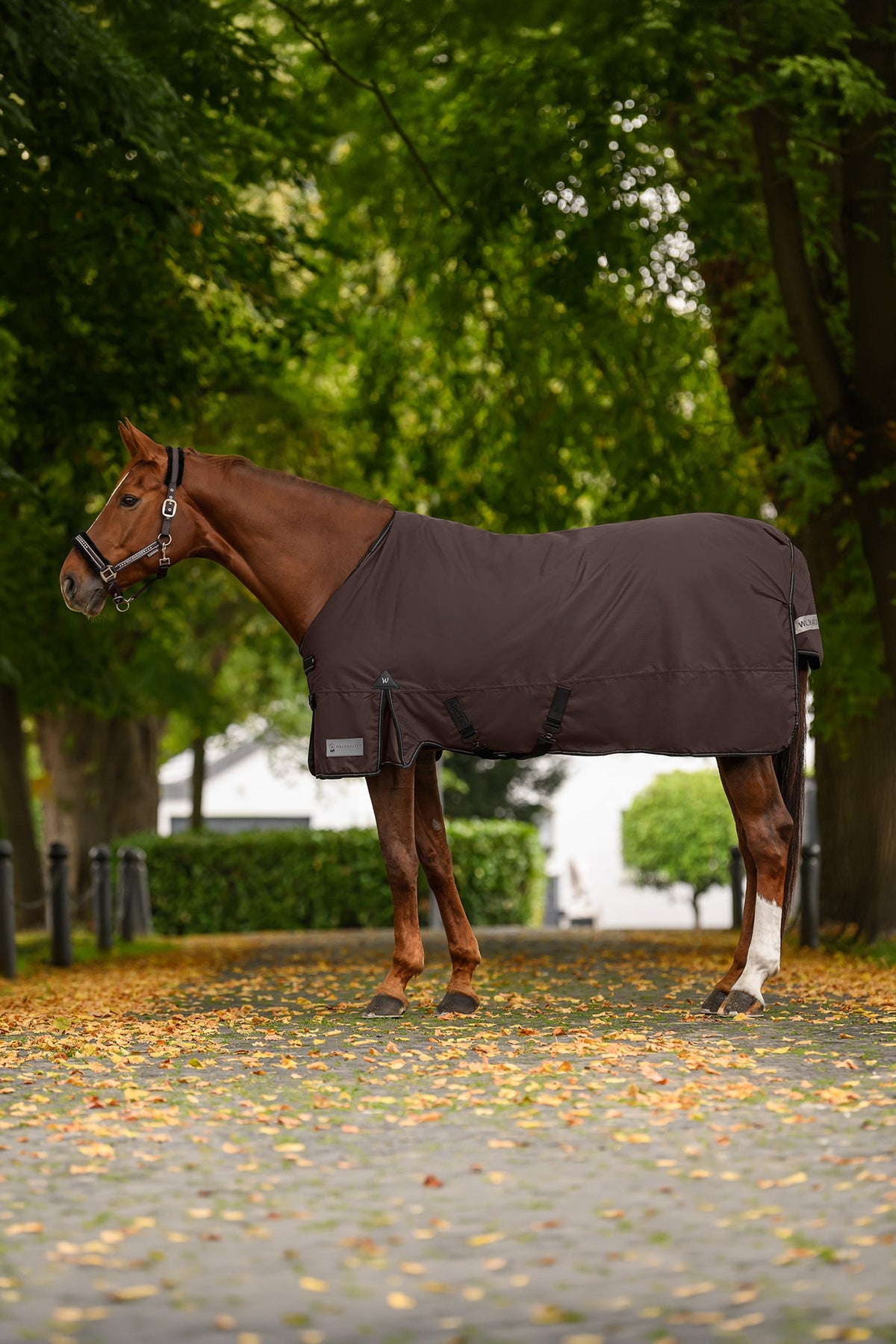 Waldhausen ARCTIC Outdoor Rug, 300 g Horse Rugs