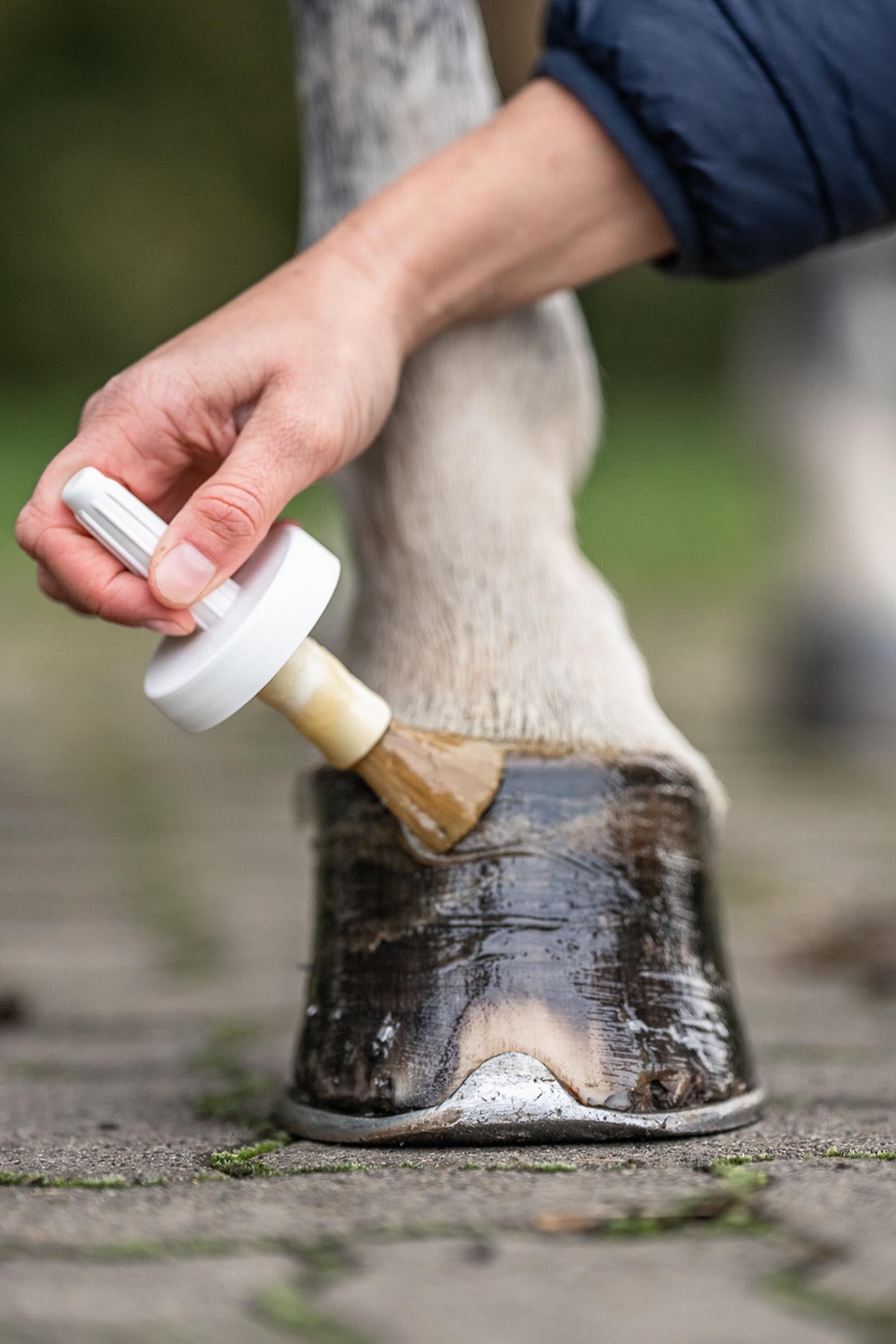 Bense & Eicke LaurelBooster, 450 ml Horse Health Care