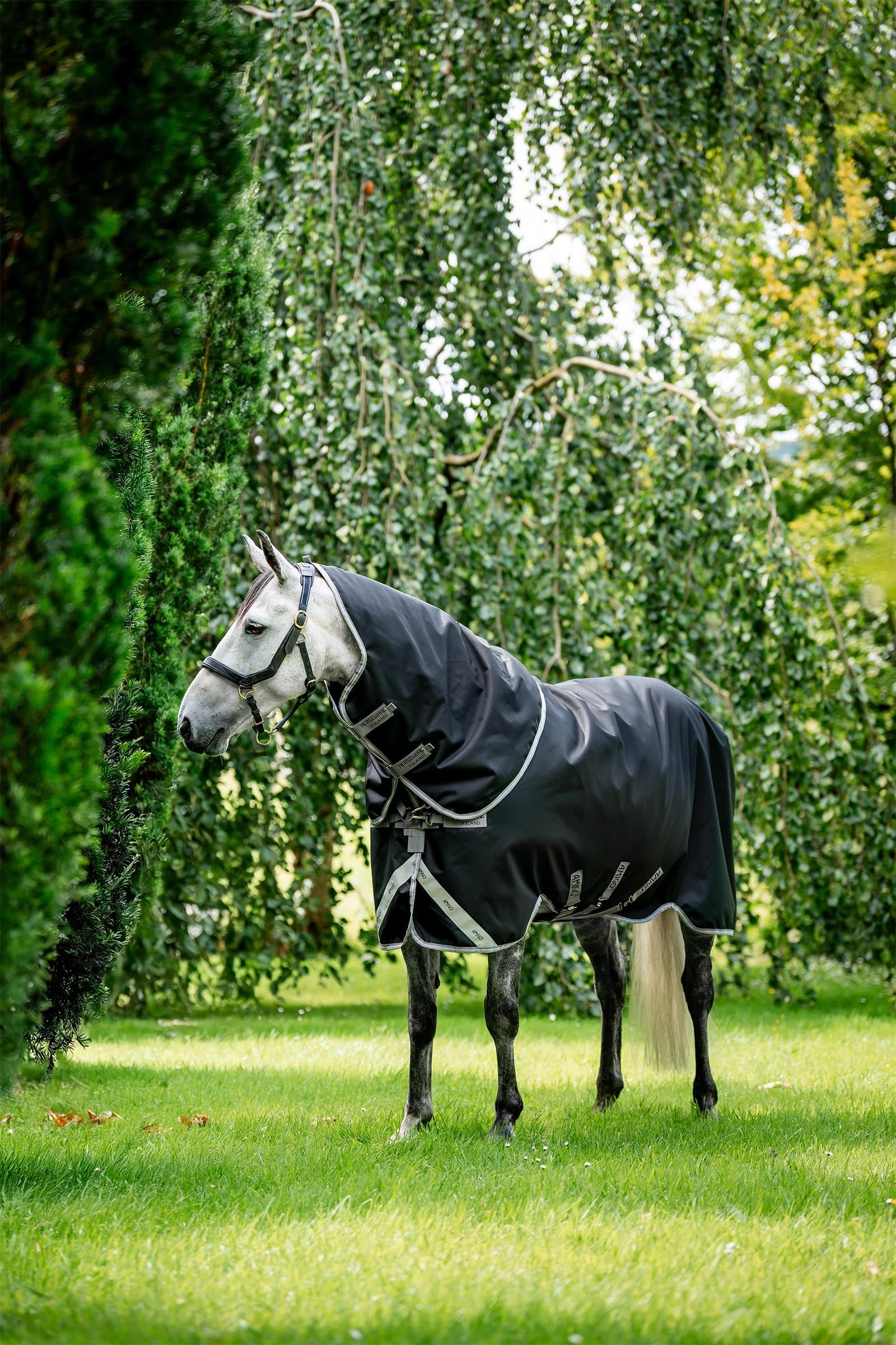 Horseware Amigo Bravo 12 Plus 100g Paardendekens