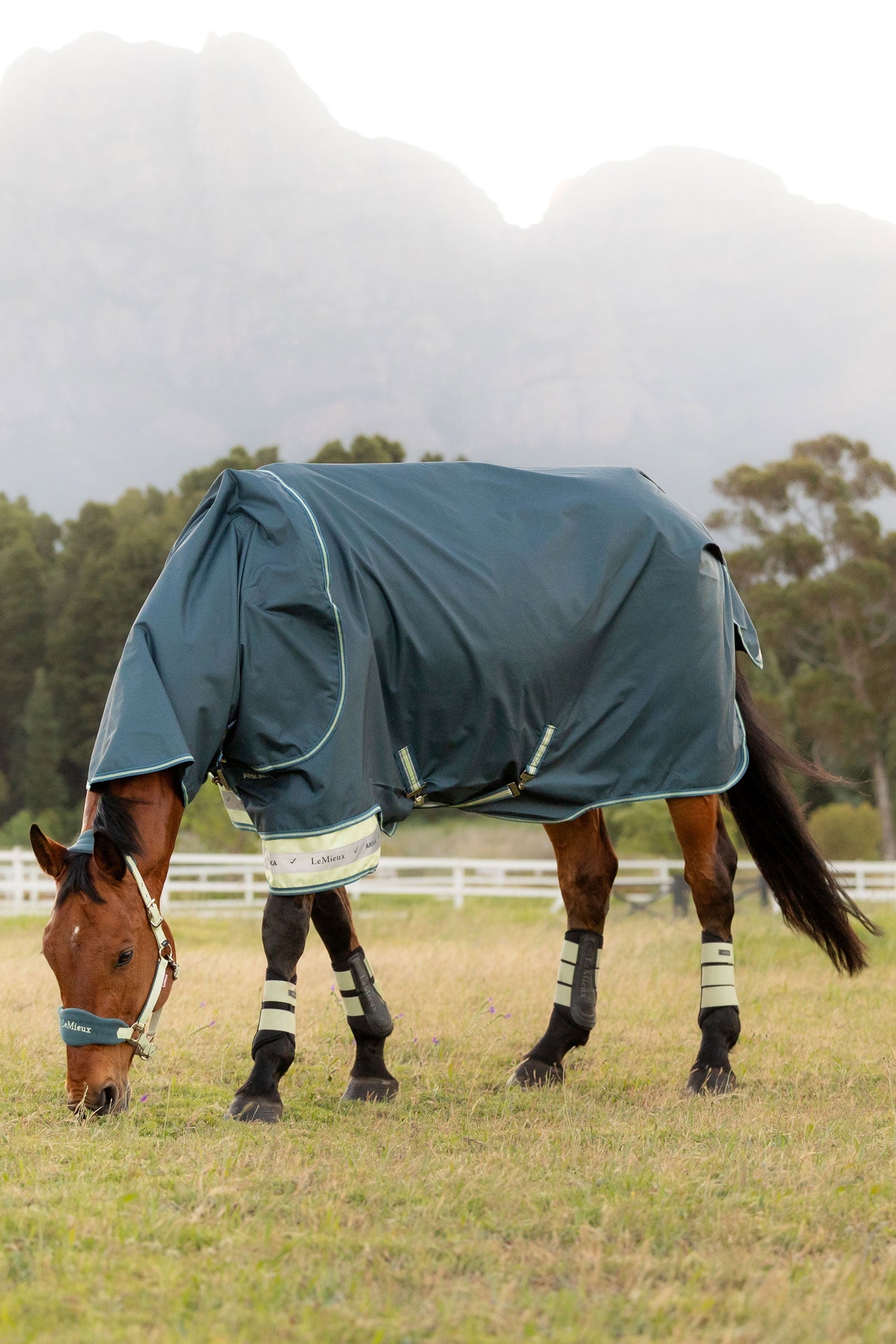 LeMieux Arika ripstop regendeken met afneembare hals 50 g Paardendekens