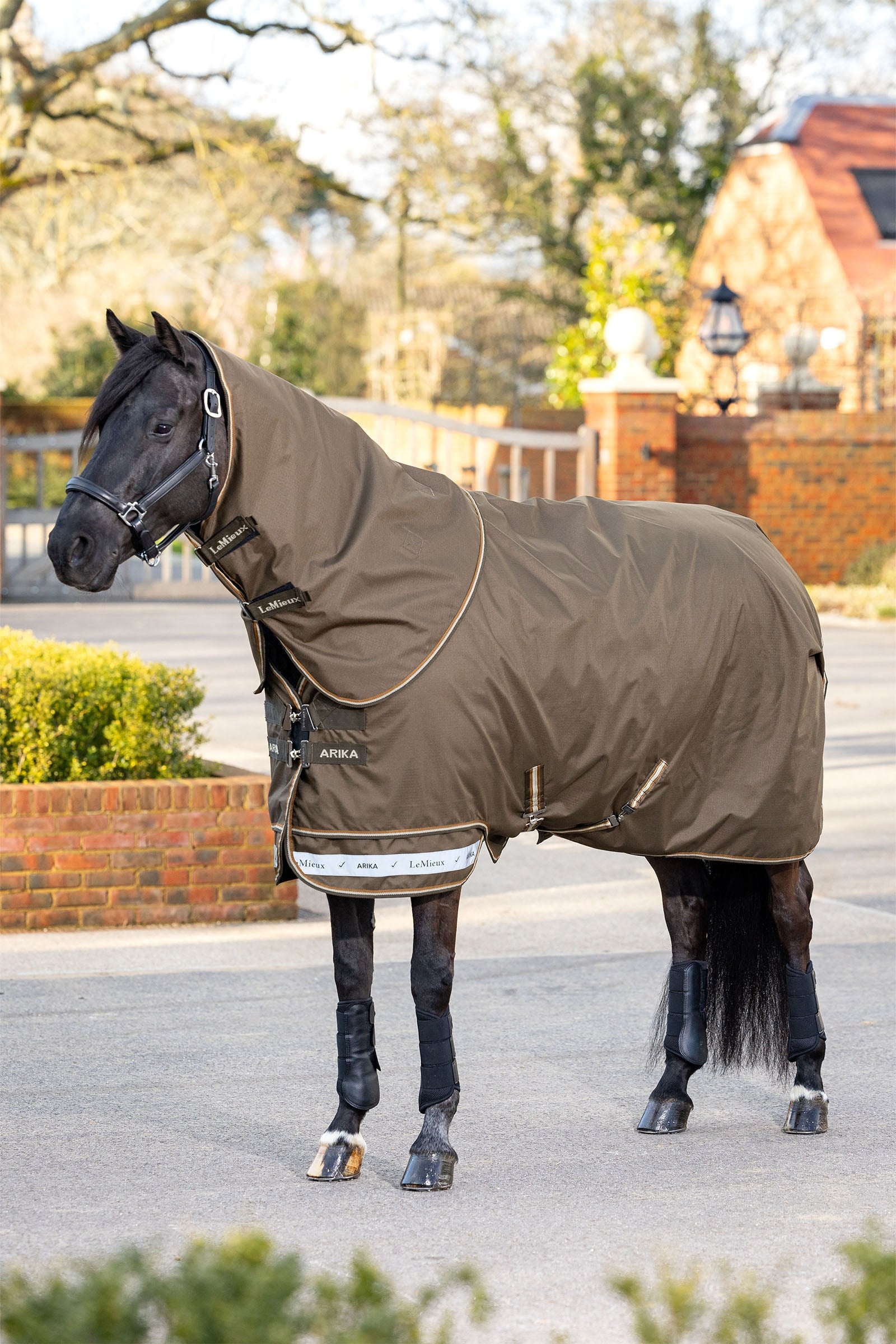 LeMieux Arika Ripstop Turnout Rug With Detachable Neck, 50g Horse Rugs