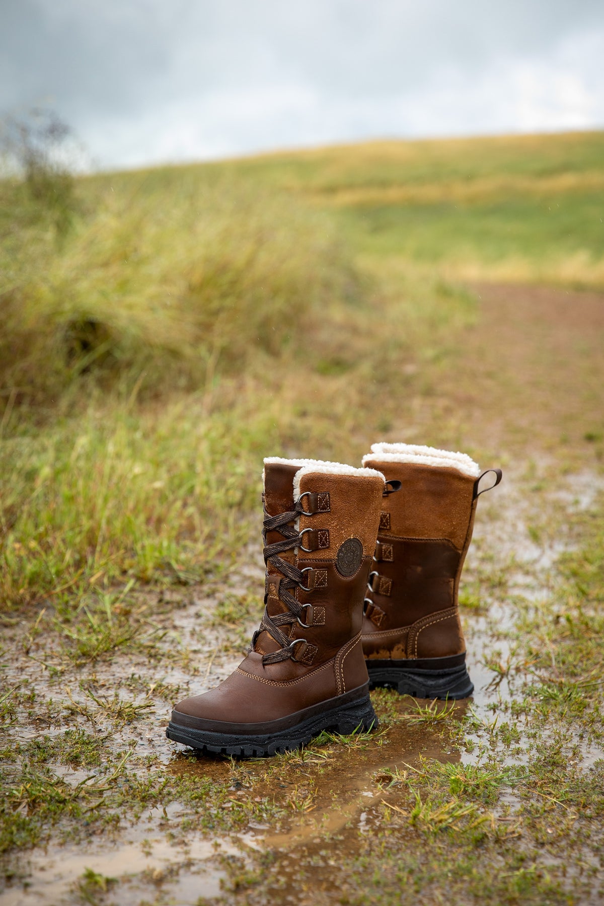Ariat Women's Wetherby Waterproof Insulated Boot Riding Boots & Riding Shoes