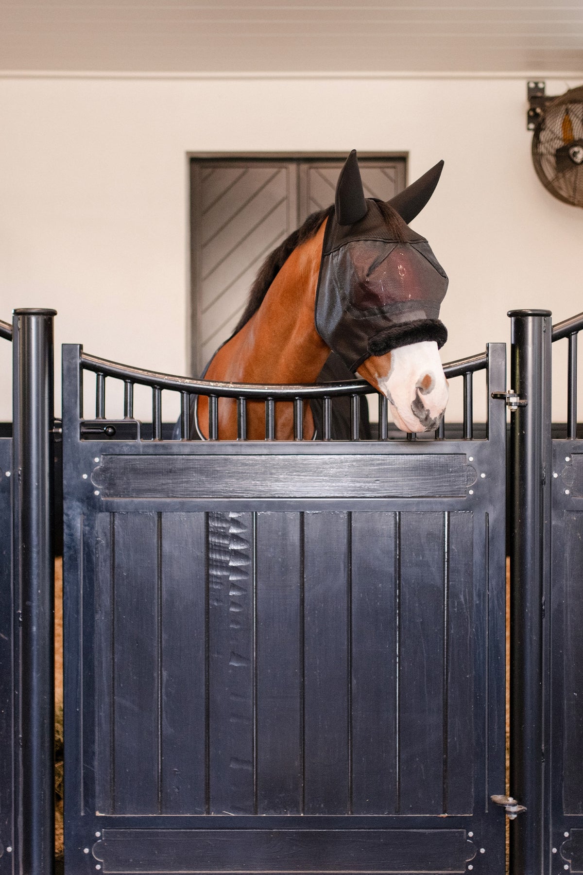 EquiFit Equilenz™ Horse Mask Antifly Protection for Horses