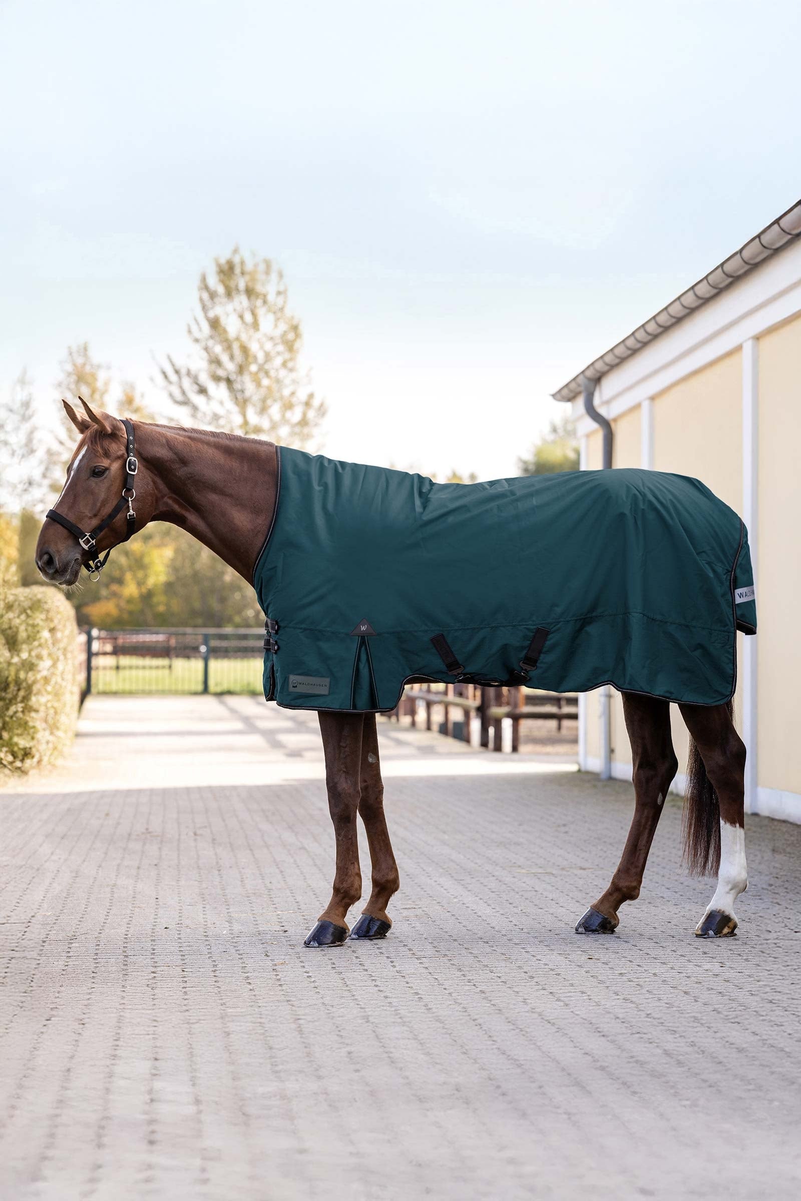 Waldhausen Arctic Outdoor Rug With High Neck, 100 g Paardendekens