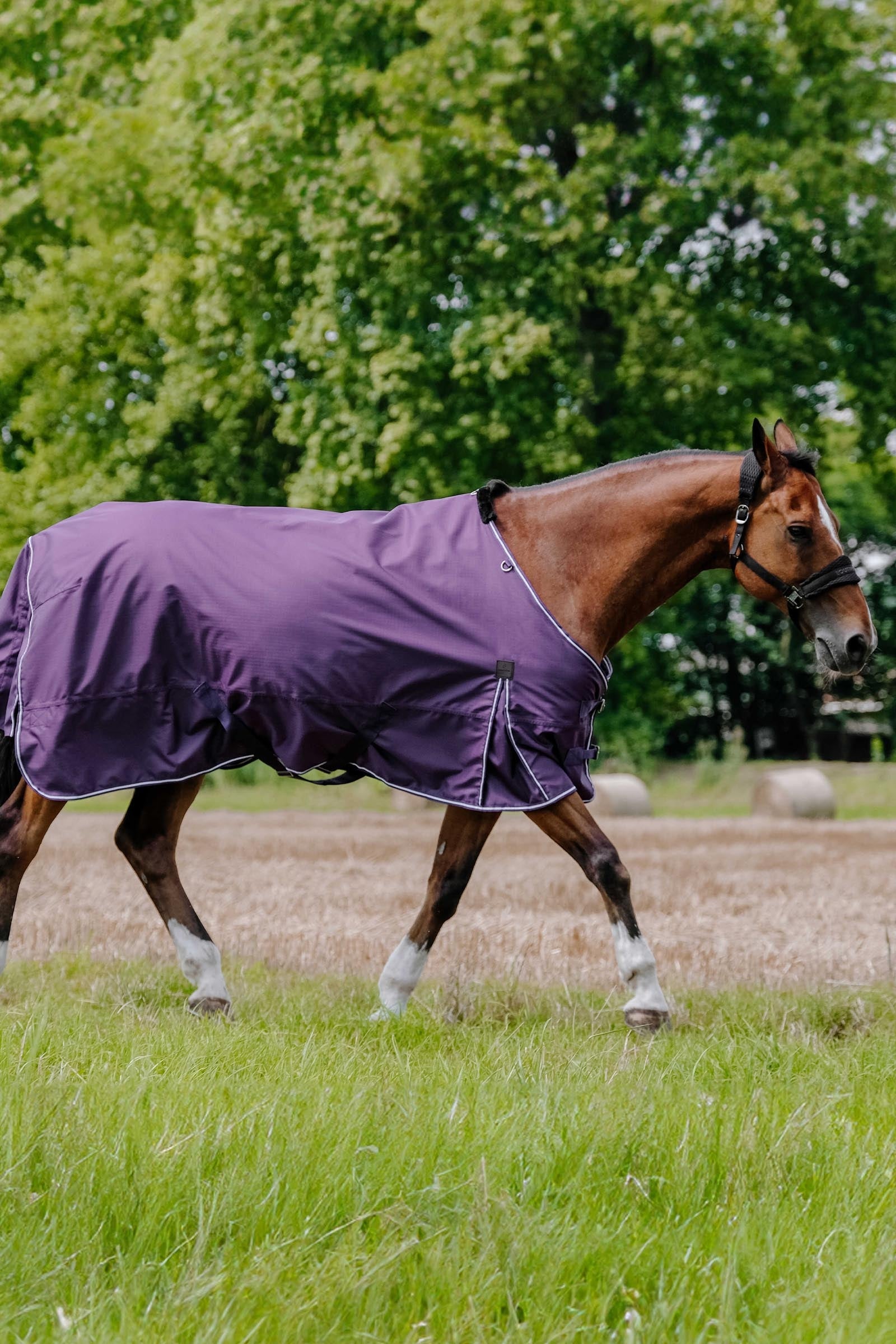 Equi Theme EQUITHÈME TYREX Aisance 600D Turnout Rug, 0 g Horse Rugs