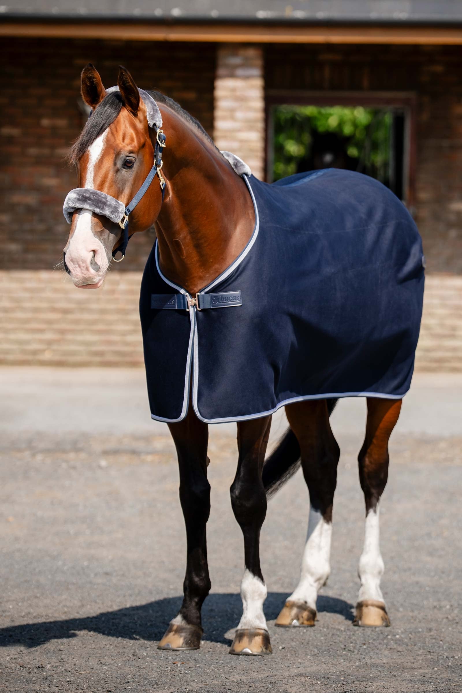 Bucas Emerald Wool Rug Paardendekens