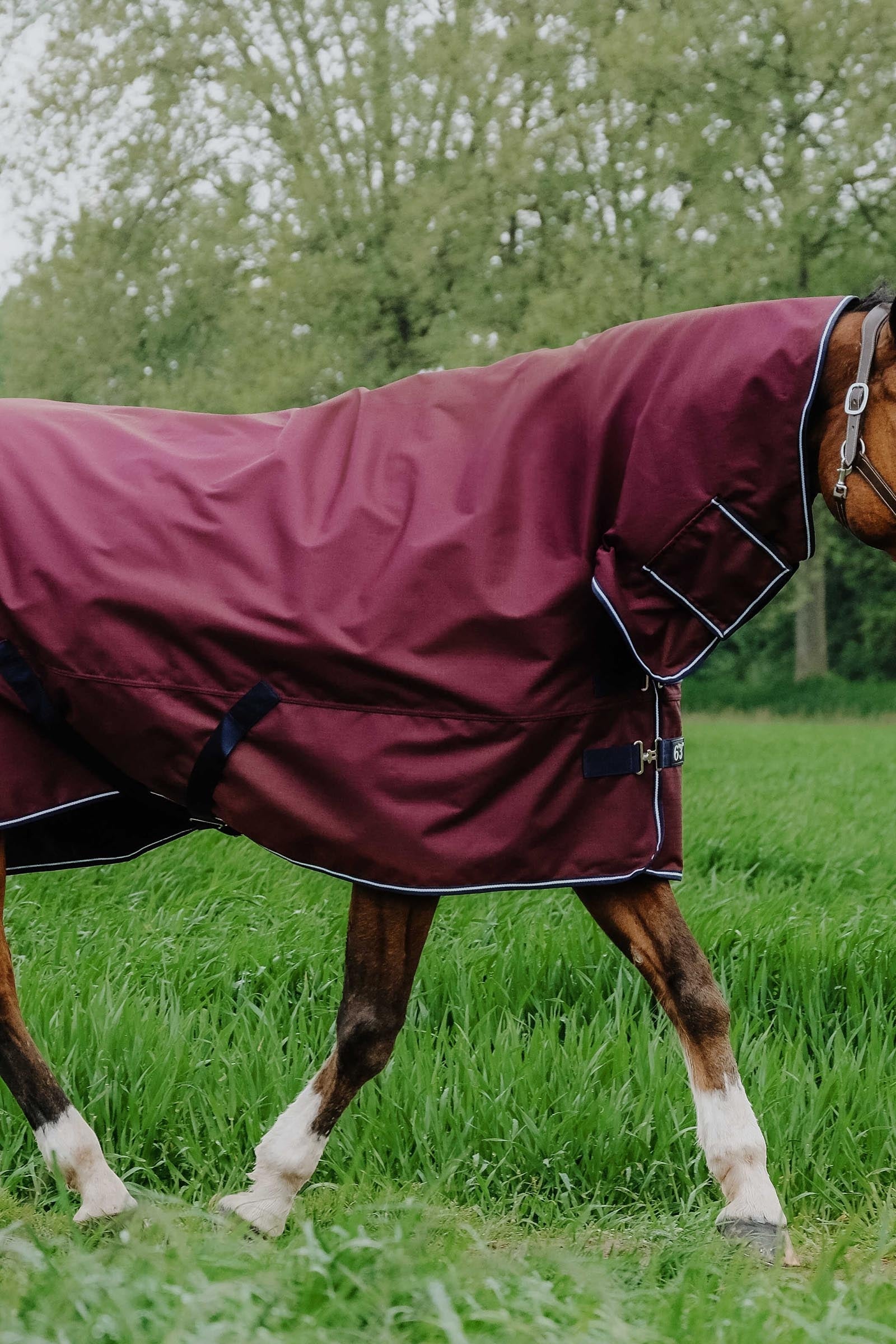 EQUITHÈME TYREX 1200D Combo Rug, 200 g Horse Rugs