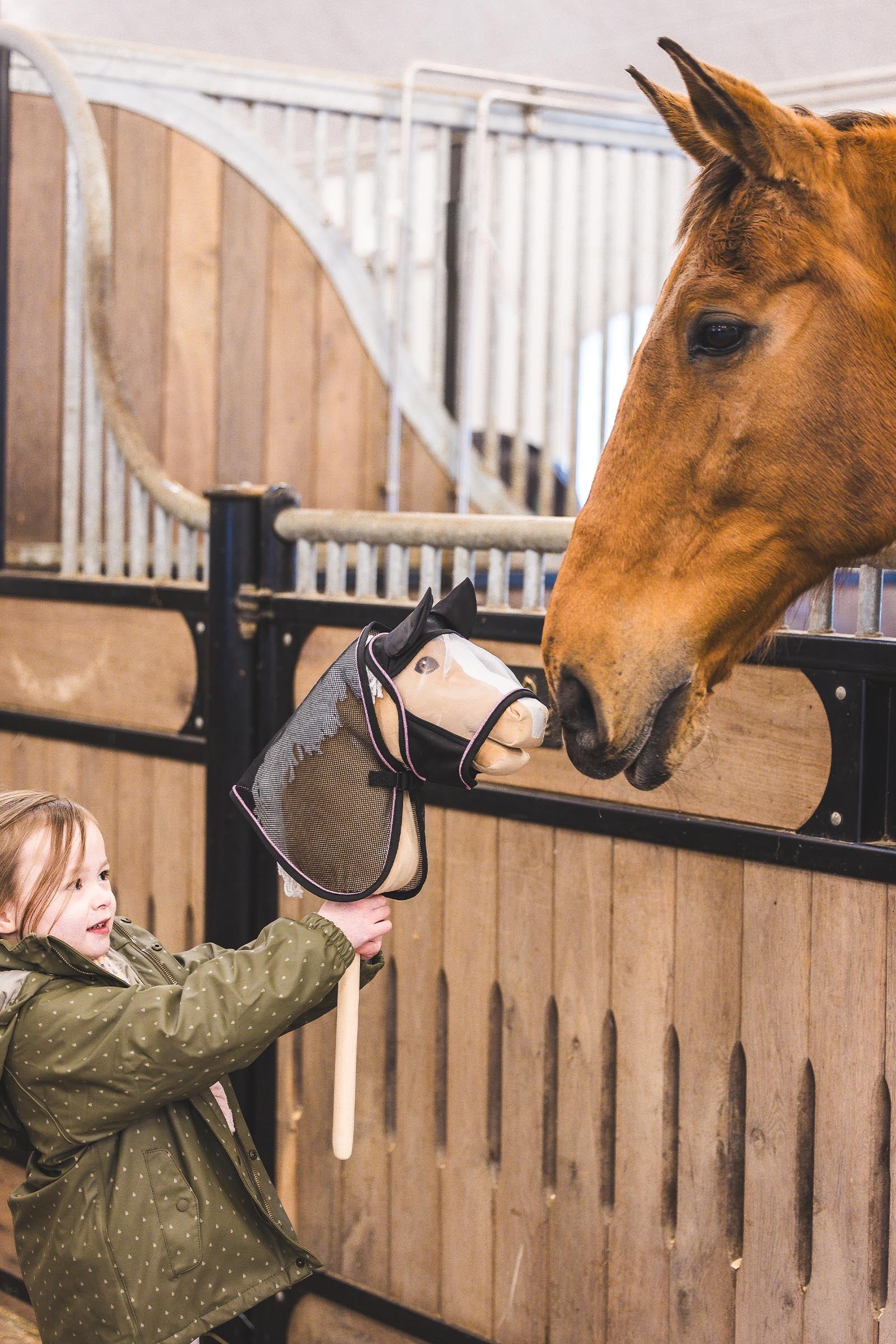 My Hobby Horse Insect Fly Rug Gifts & Toys