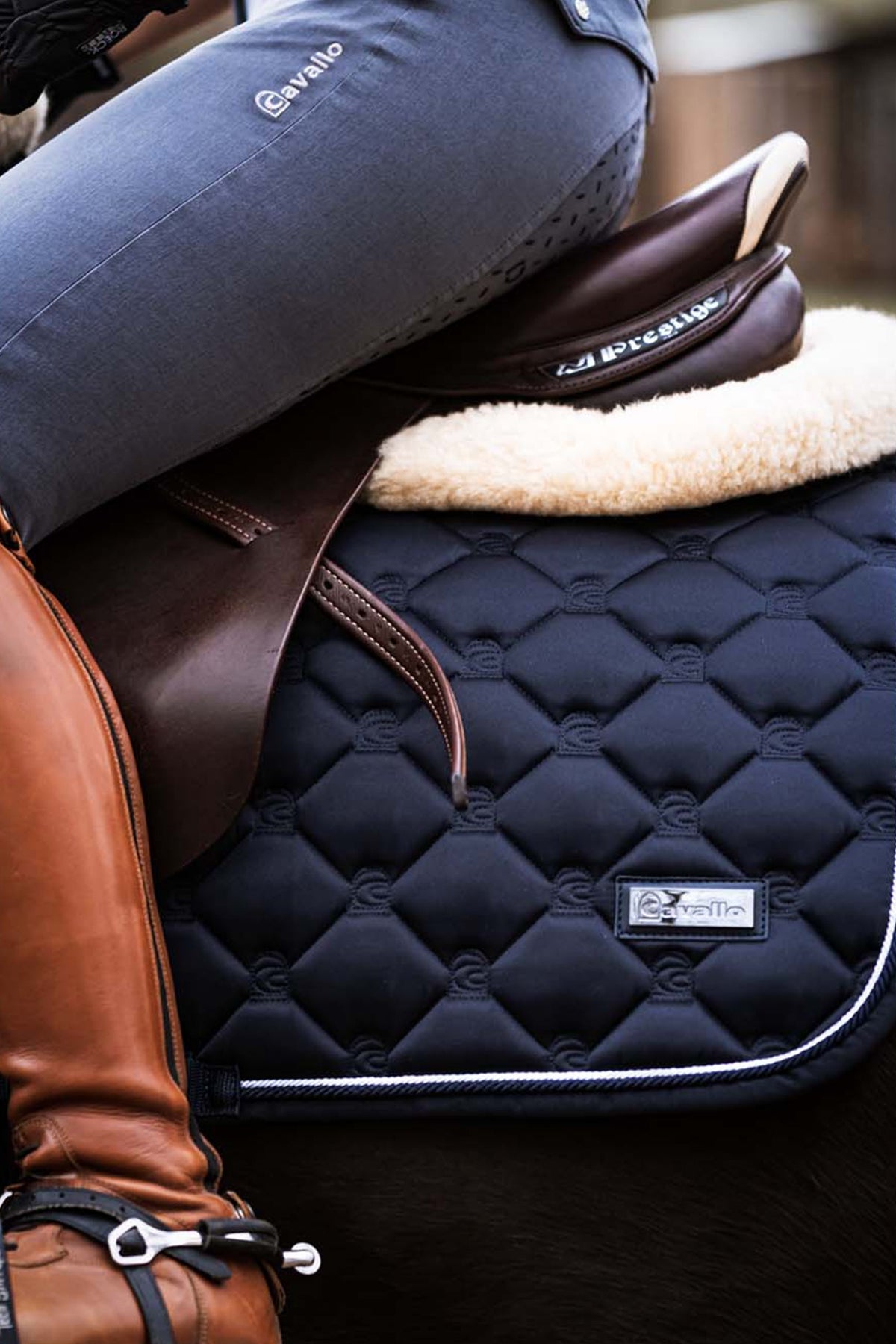 Cavallo CAVALHANAYA Dressage Saddle Pad Saddle Pads