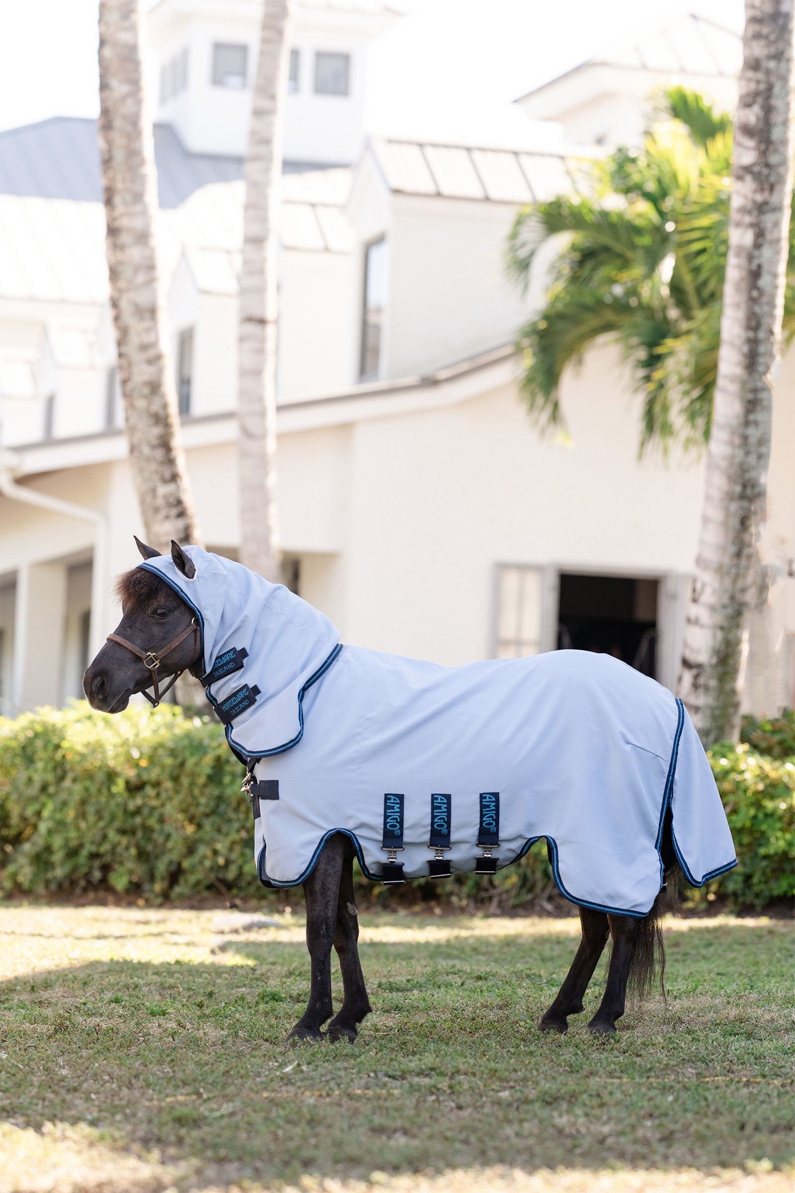 Horseware Amigo Ripstop Hoody Petite, vliegendeken Paardendekens
