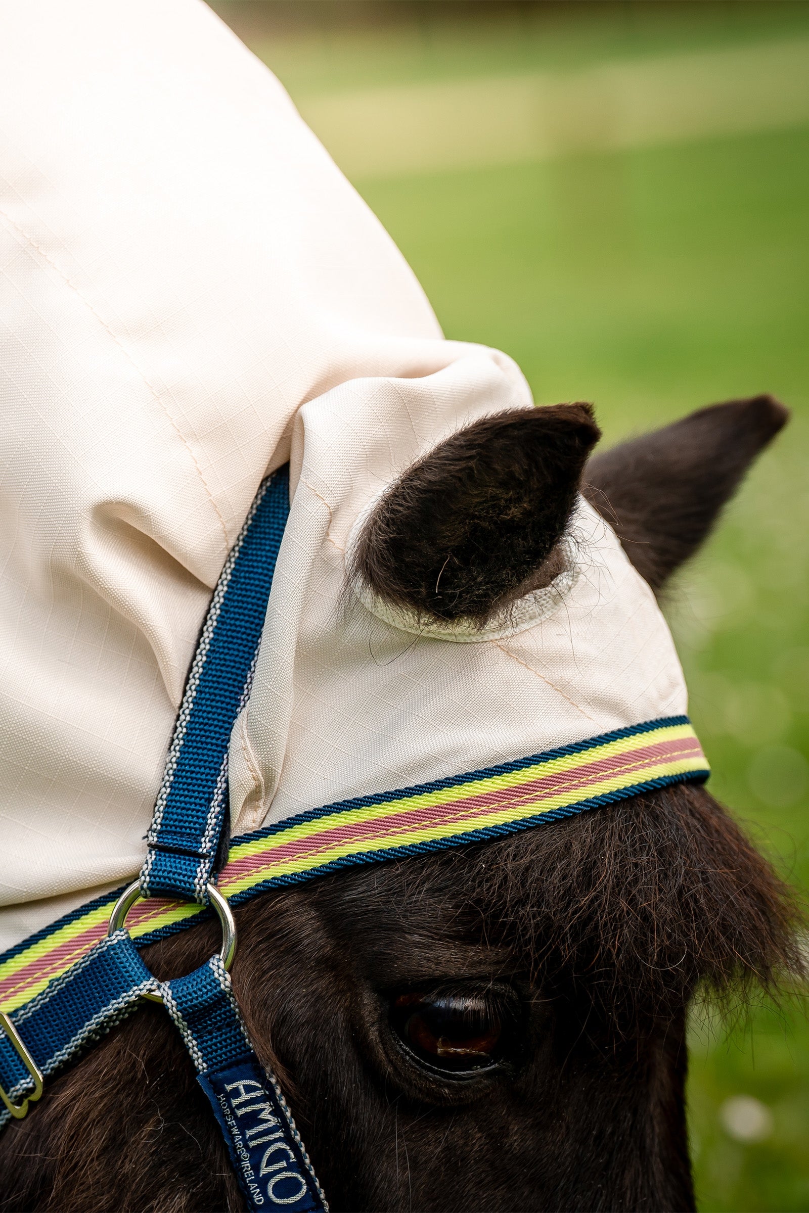 Horseware Amigo Ripstop Petite Hoody Horse Rugs