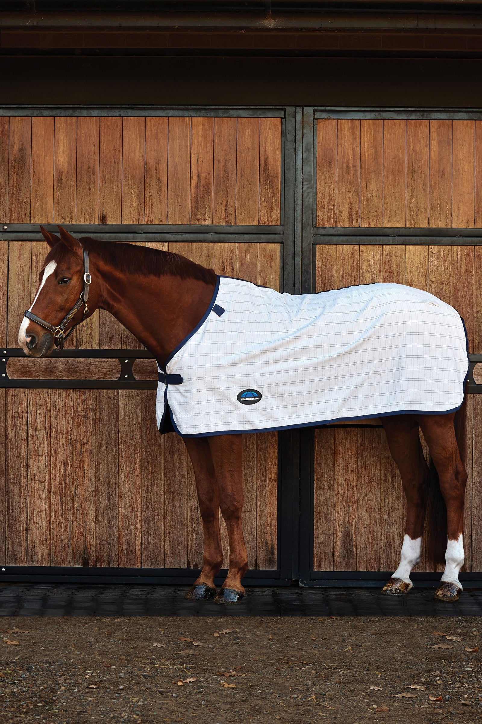 Weatherbeeta ComFiTec Cotton-Liner Paardendekens