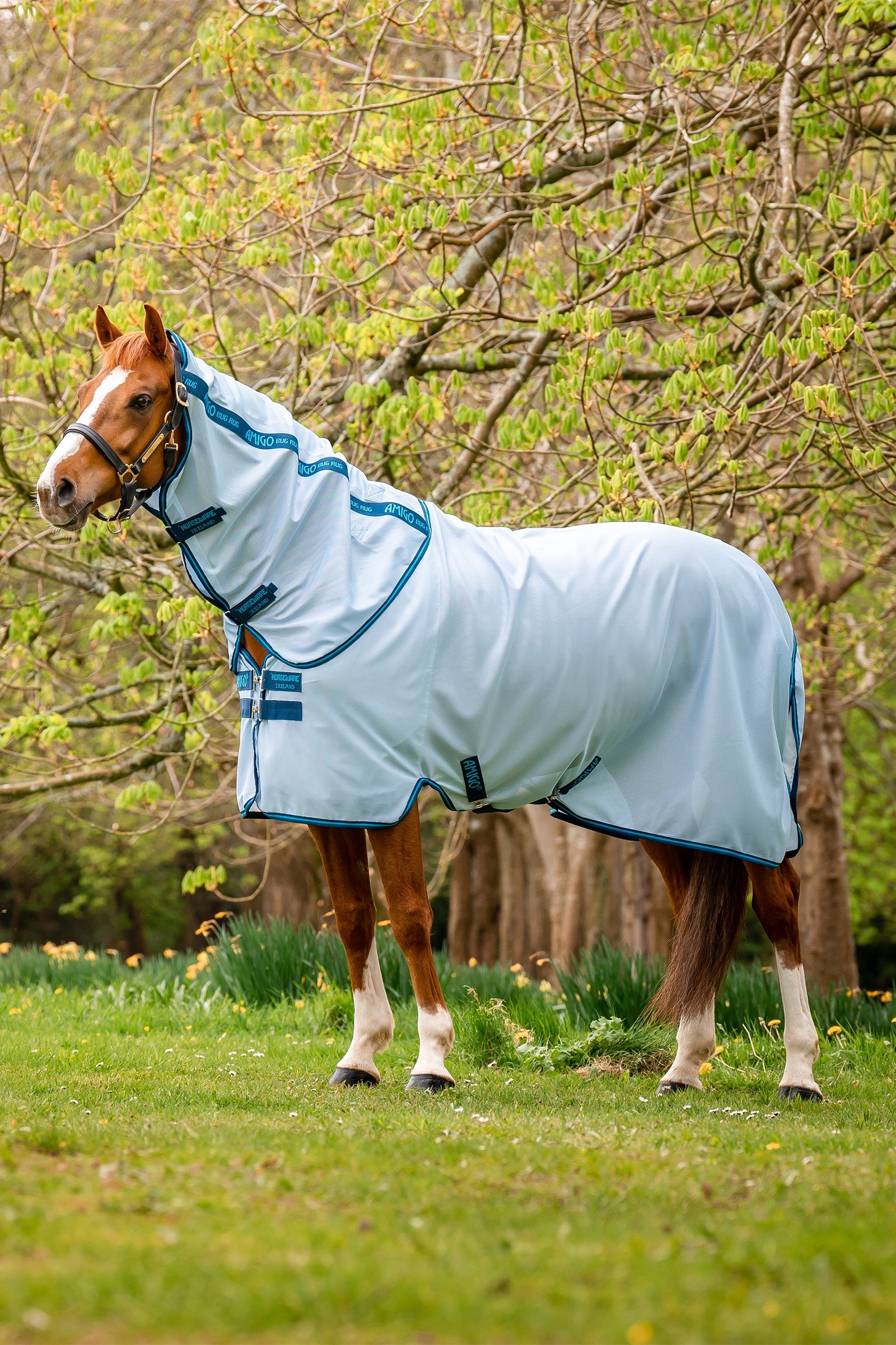 Horseware Amigo Vliegendeken Paardendekens