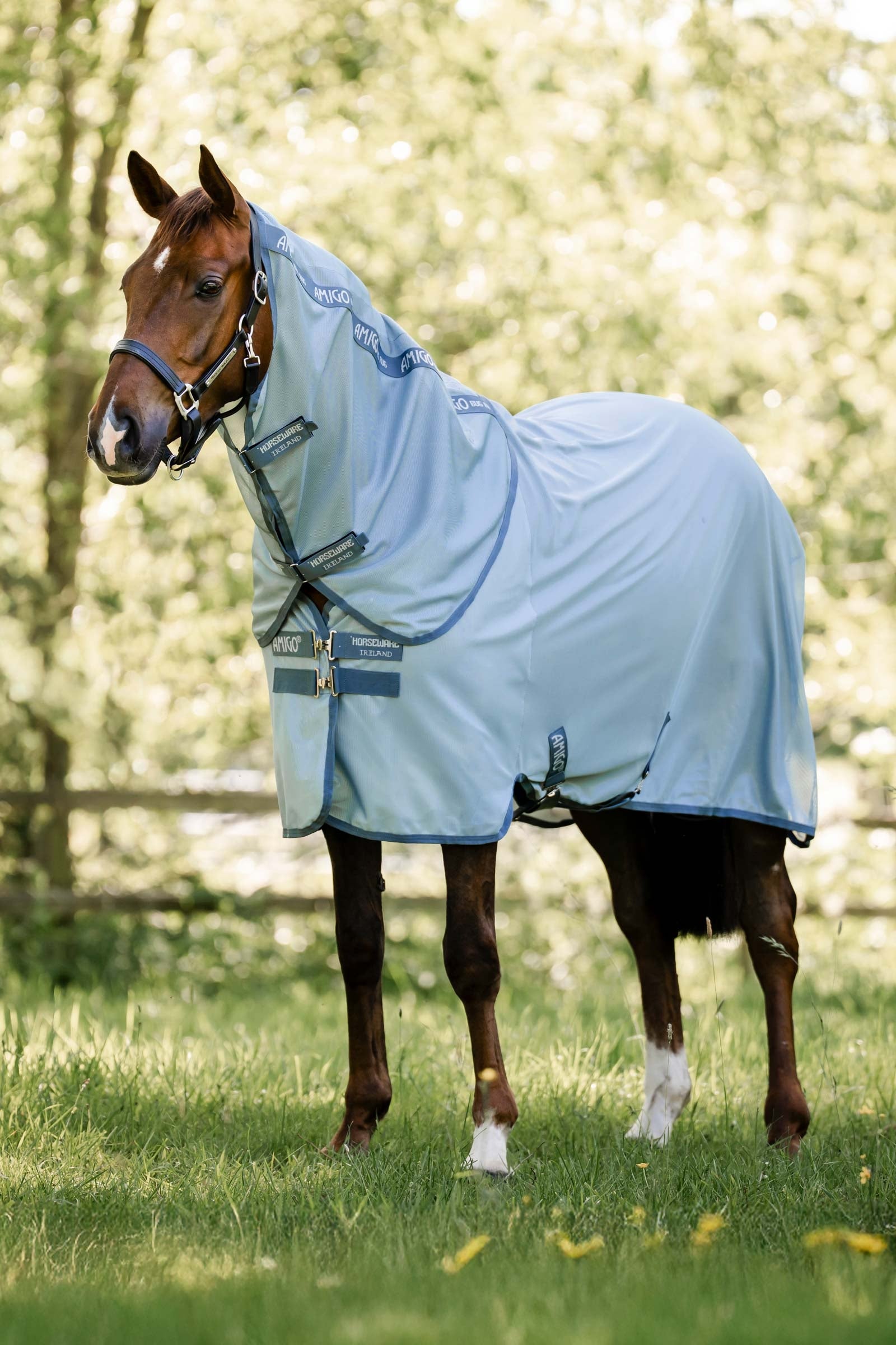 Horseware Amigo Vliegendeken Plus Paardendekens