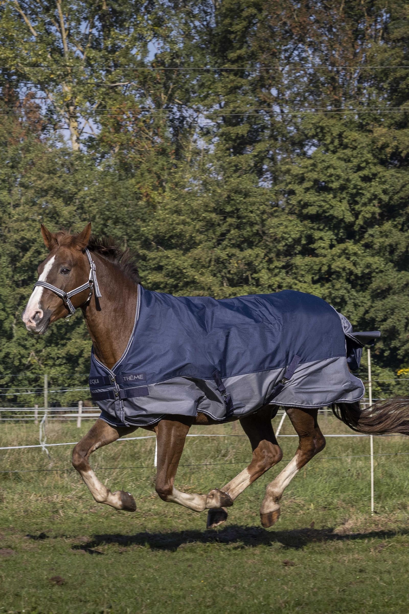 EQUITHÈME TYREX 600D Turnout Rug Fleece Lined Horse Rugs