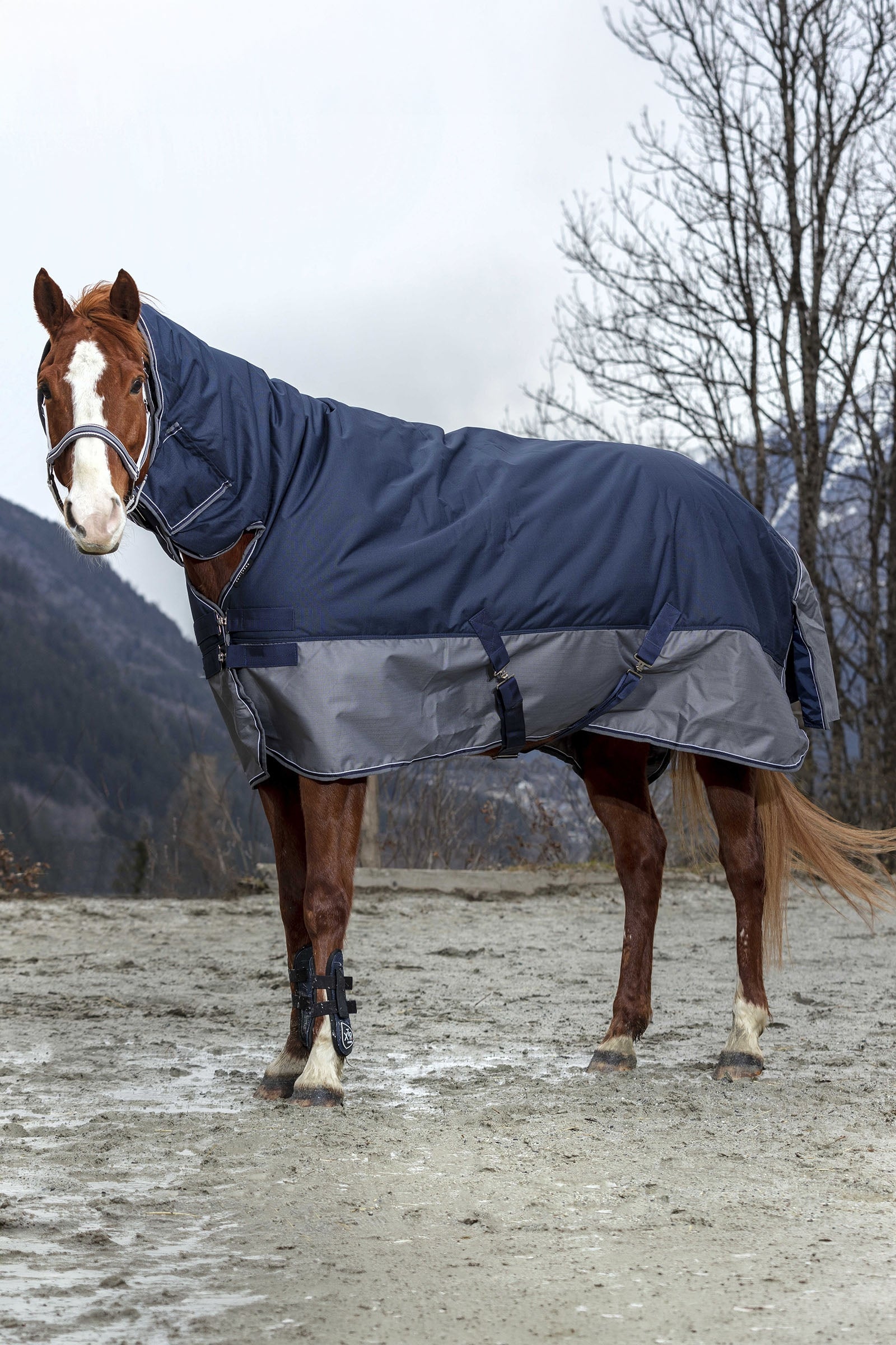 EQUITHÈME TYREX 600D Turnout Rug Fleece Lined Horse Rugs