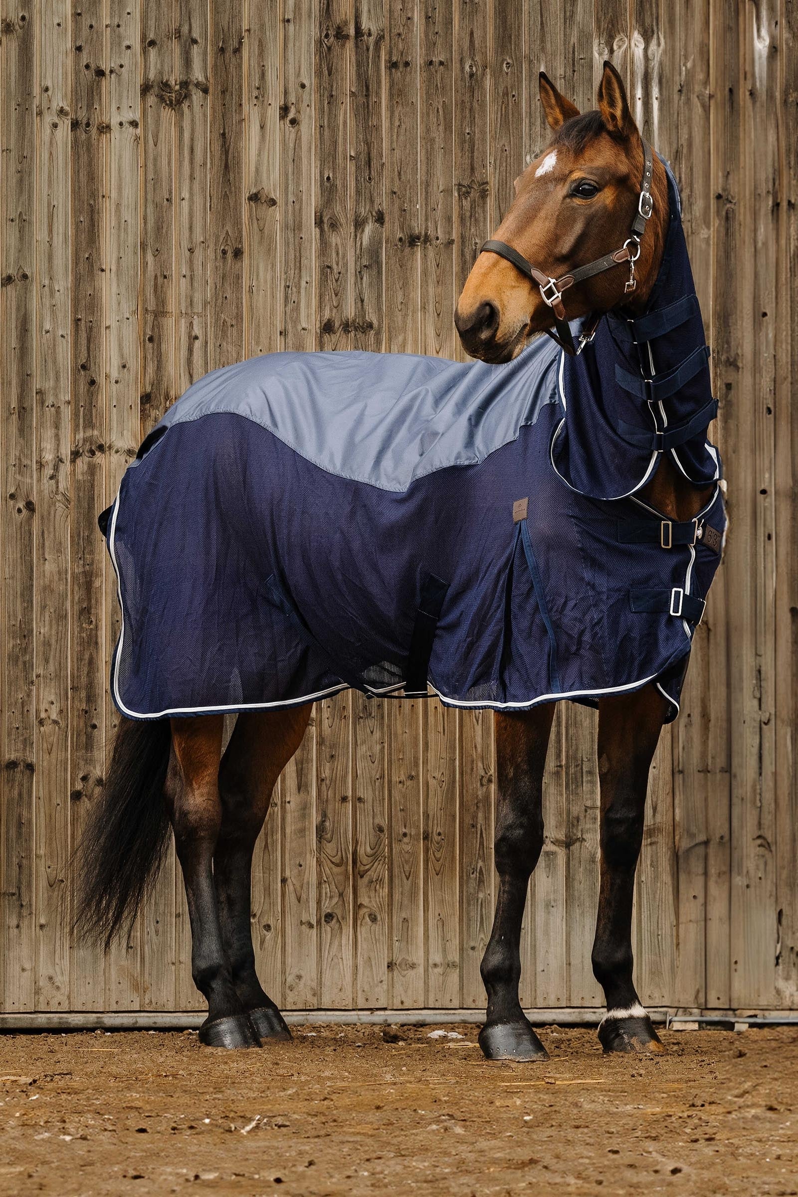 Equi Theme EQUITHÈME Combo Sheet Mixte Horse Rugs