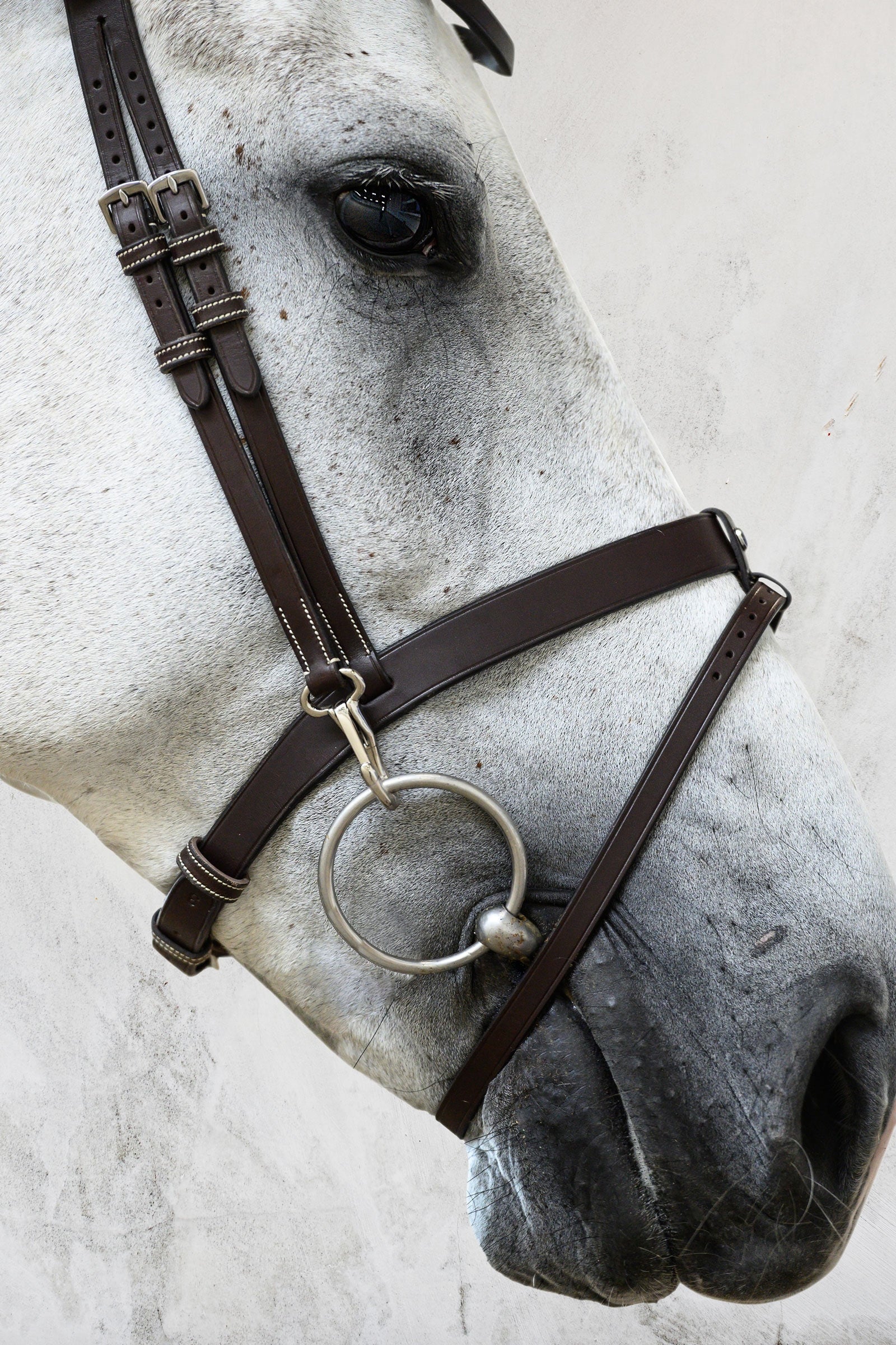 PS of Sweden London Bridle Bridles & Reins