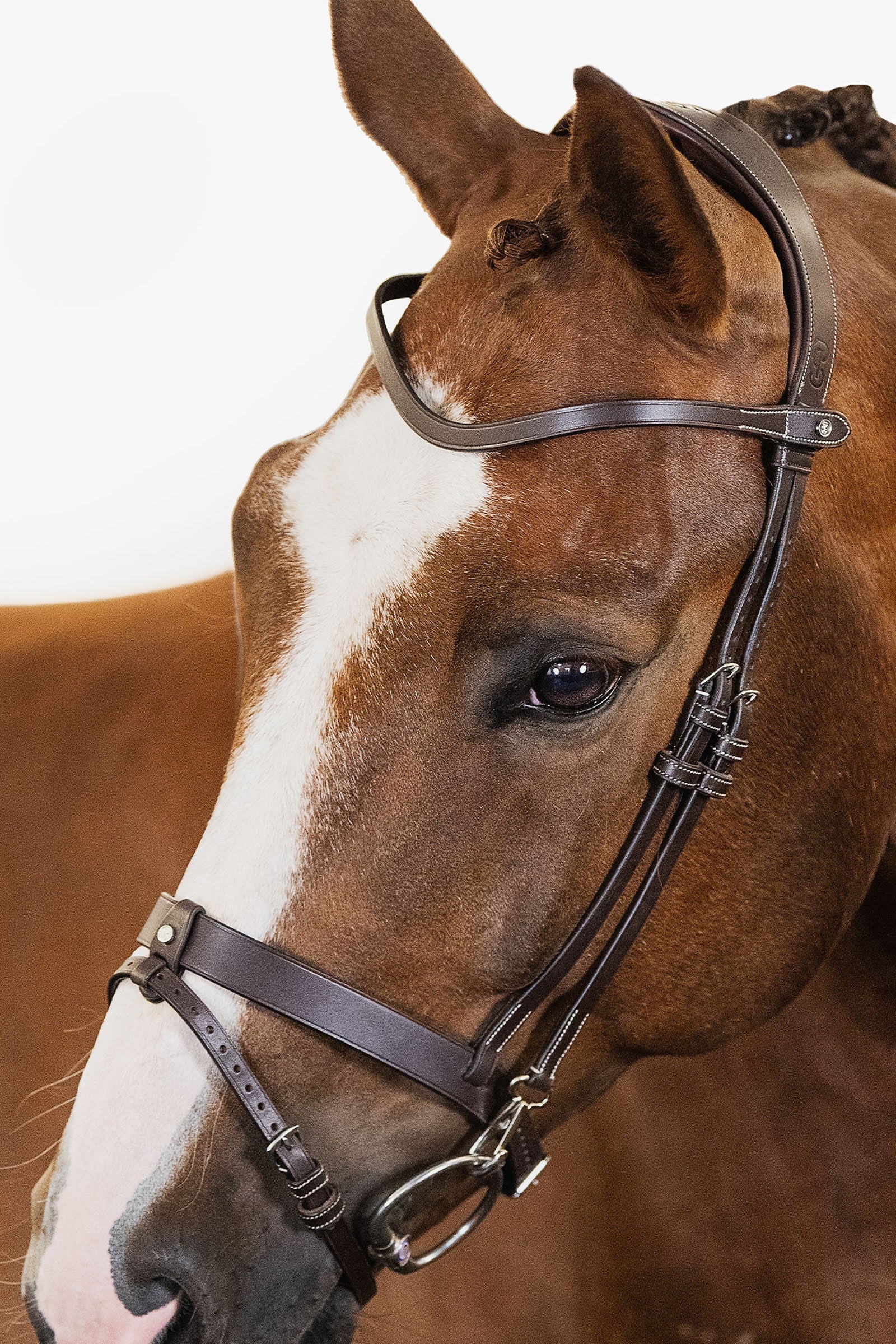 PS of Sweden London Bridle Hoofdstellen & Teugels