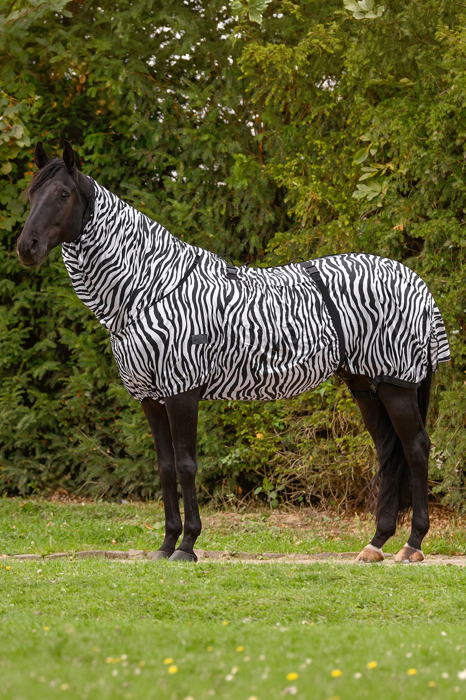 Waldhausen Basic zebra eczeemdeken met UV-bescherming Paardendekens