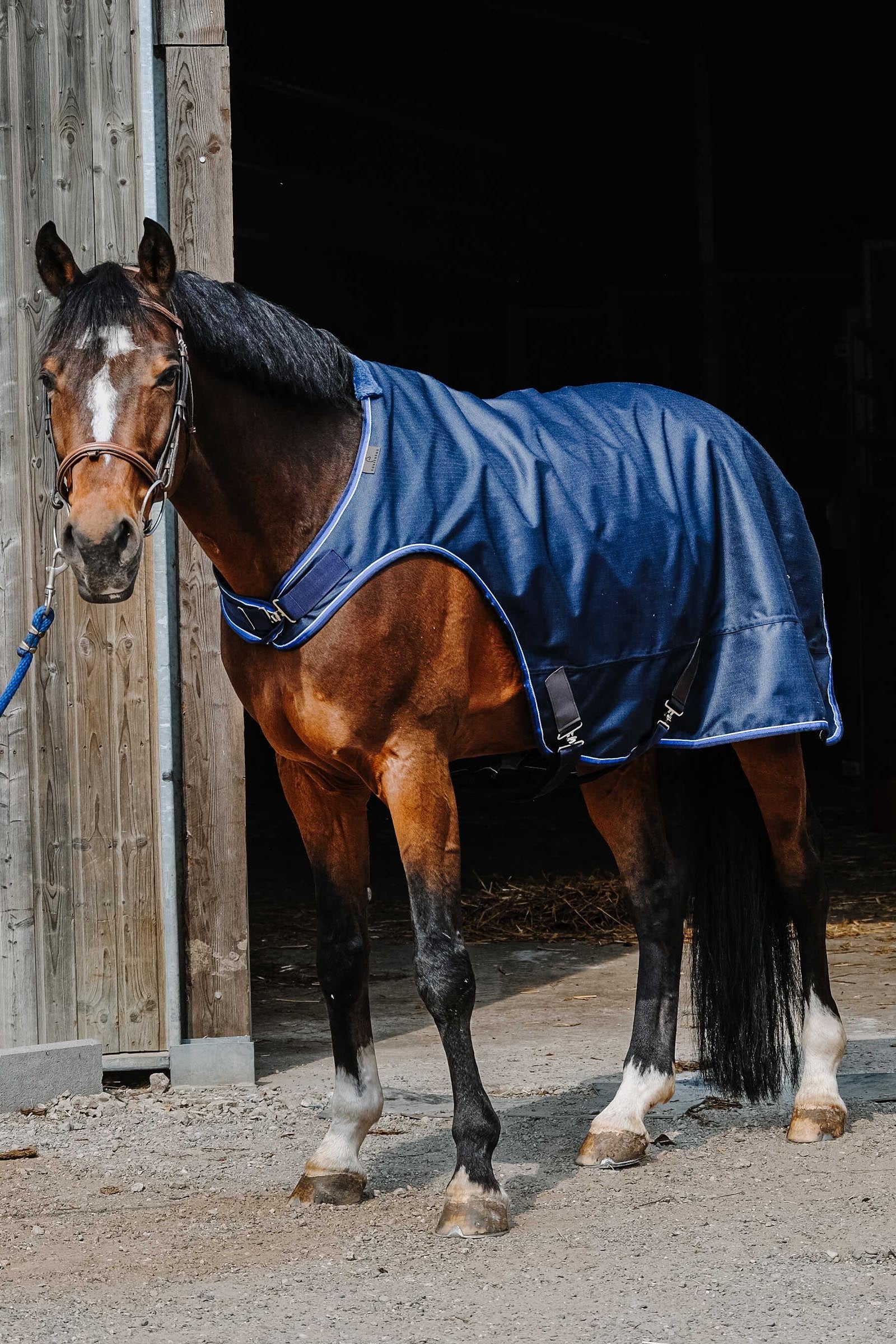EQUITHÈME Classic 1200D stapmolendeken Paardendekens