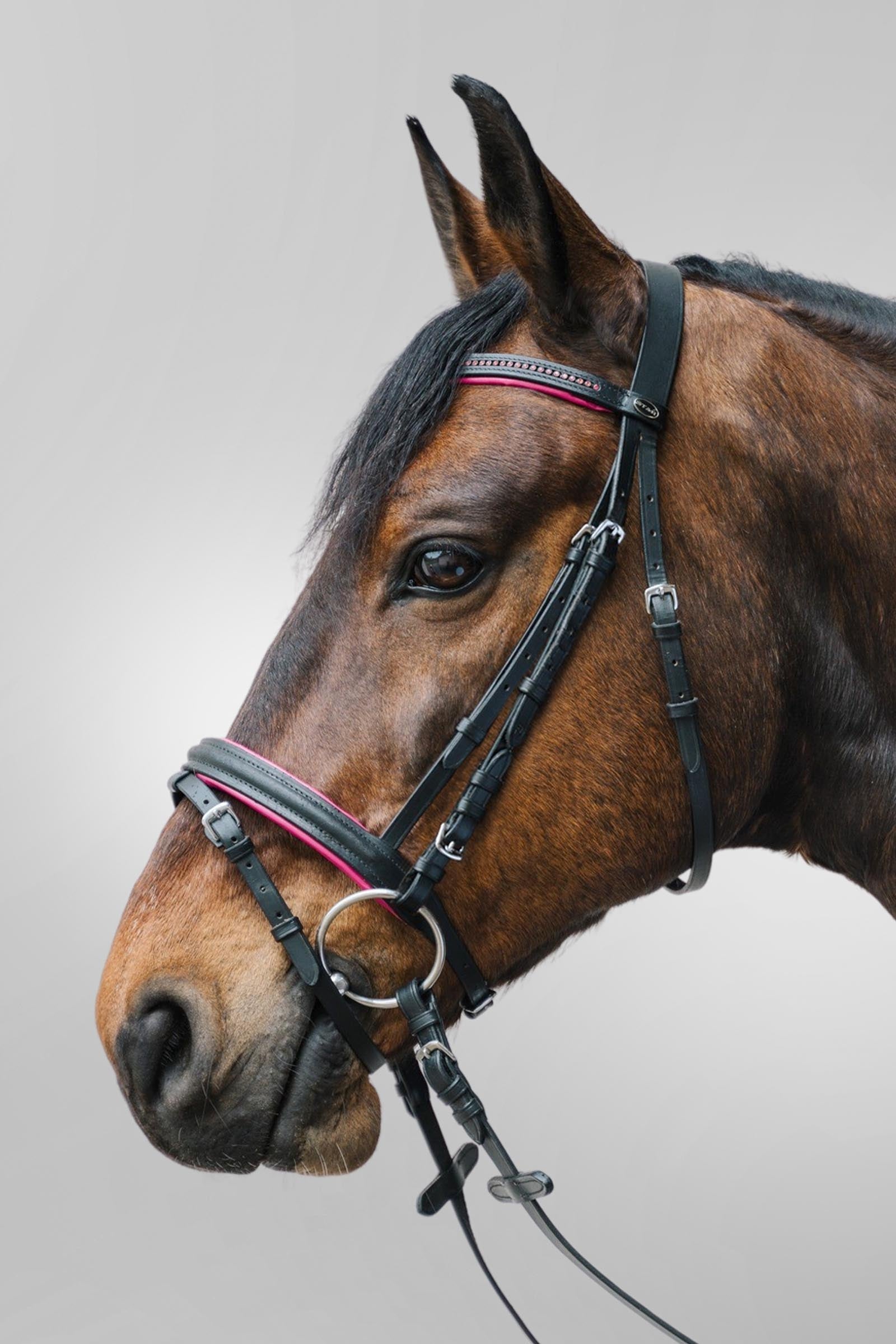 Star Diamant Bridle With Combined Noseband Bridles & Reins