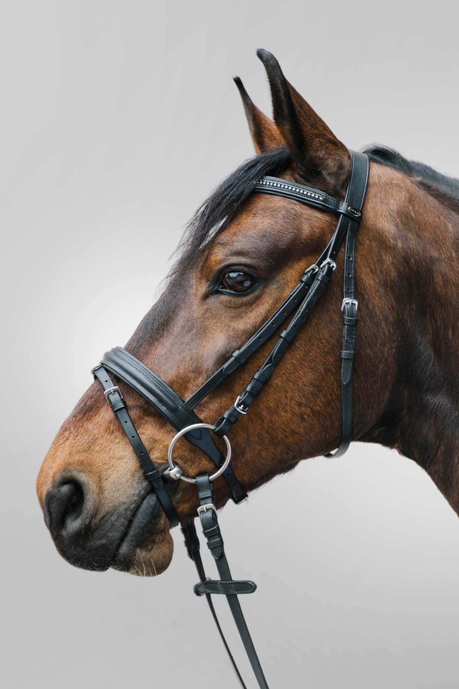 Star Diamant Bridle With Combined Noseband Bridles & Reins