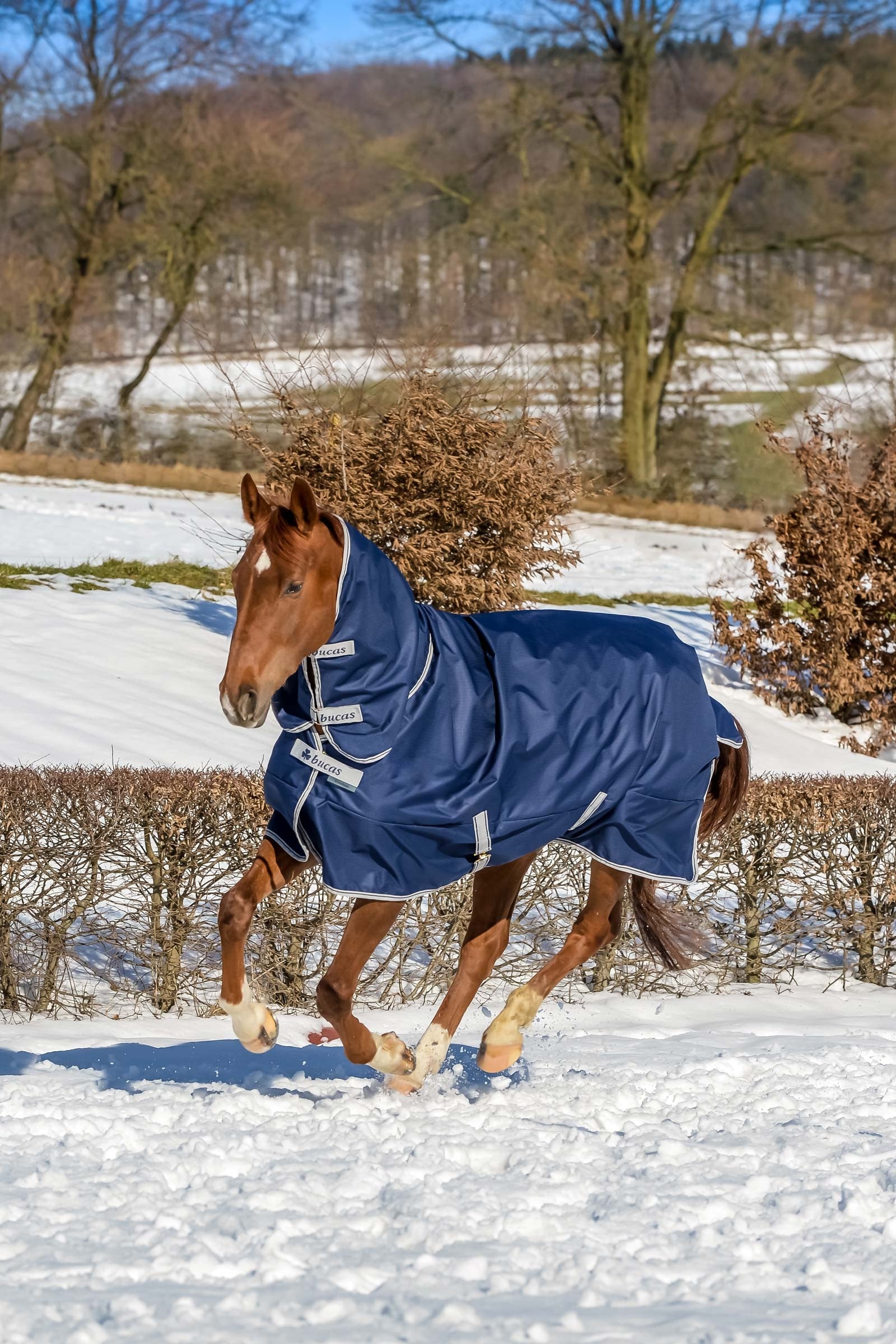 Bucas Freedom outdoordeken met vaste volledige hals (300g / 150g) Paardendekens