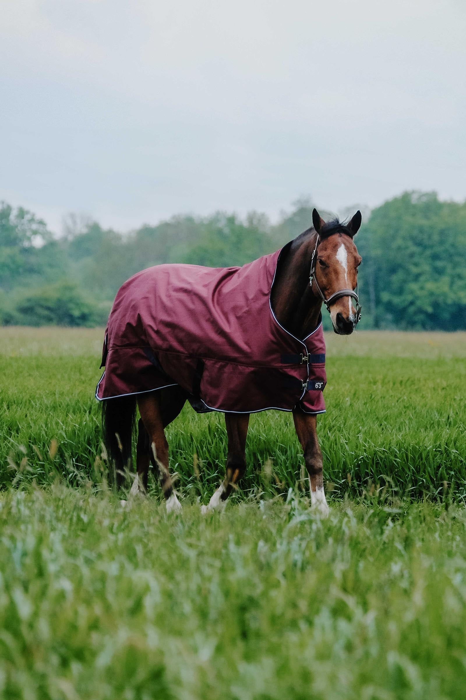 EQUITHÈME TYREX 1200D deken met hoge hals, 0 g Paardendekens