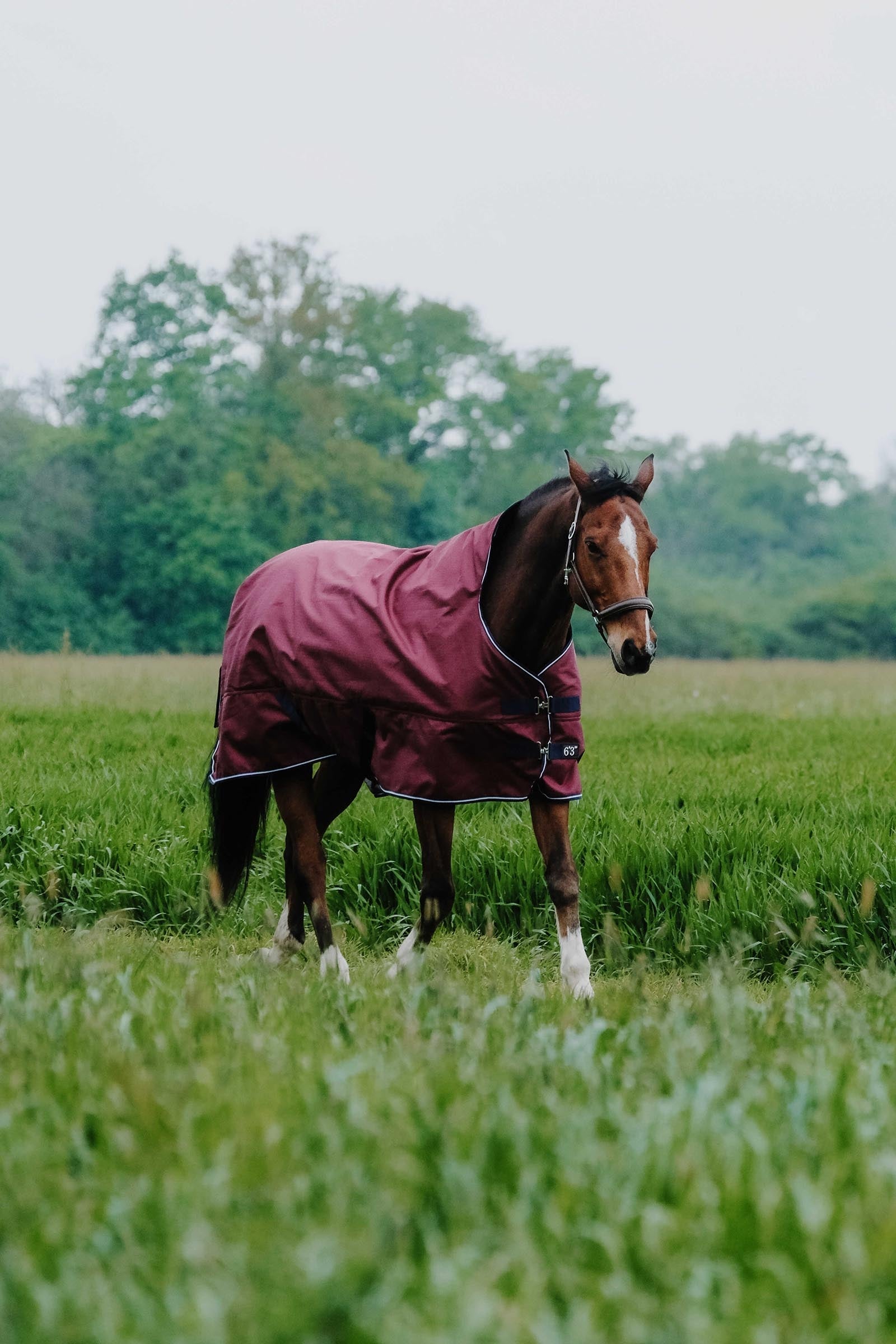 EQUITHÈME TYREX 1200D High Neck Rug, 0 g Horse Rugs