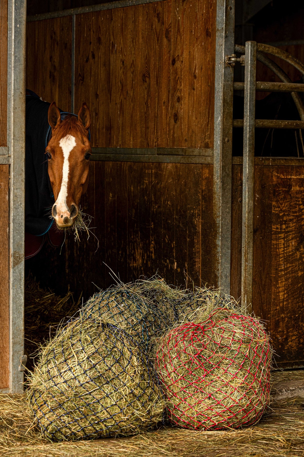 HIPPOTONIC ZARI Hooinet (105 cm), 5 x 5 mesh Voederen & Drinken