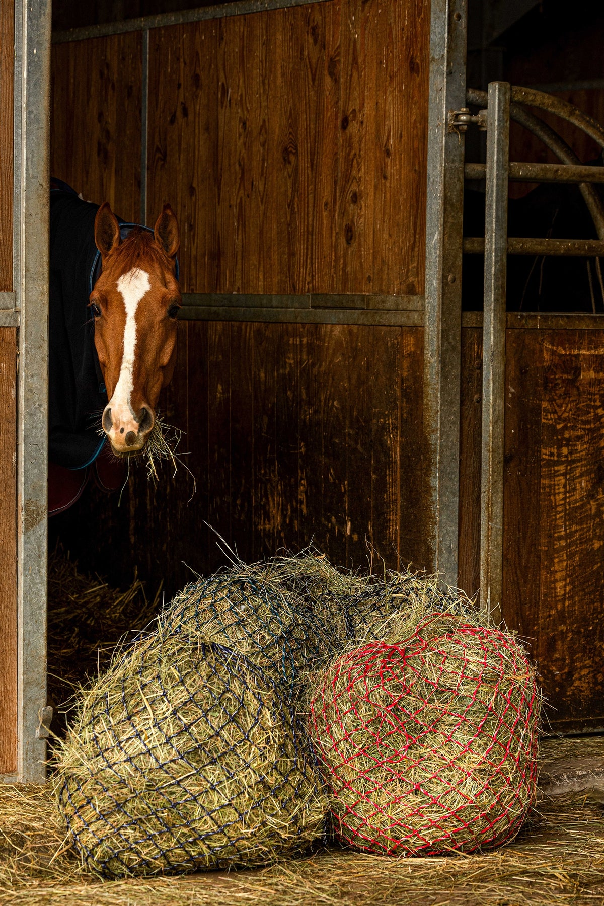 HIPPOTONIC ZARI Hooinet (105 cm), 5 x 5 mesh Voederen & Drinken