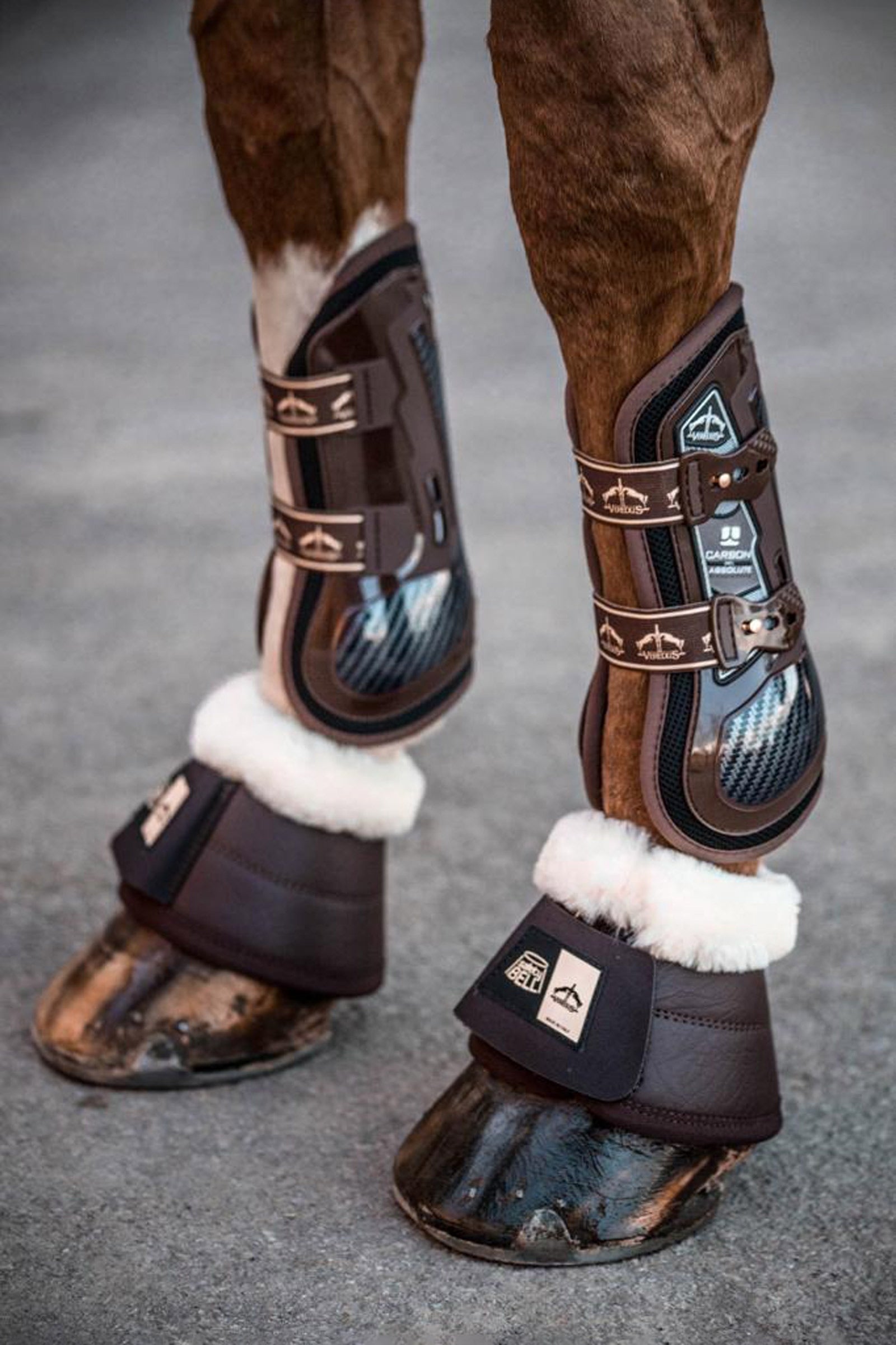 Veredus Carbon Gel Absolute Tendon Boots Leg & Hoof Protection
