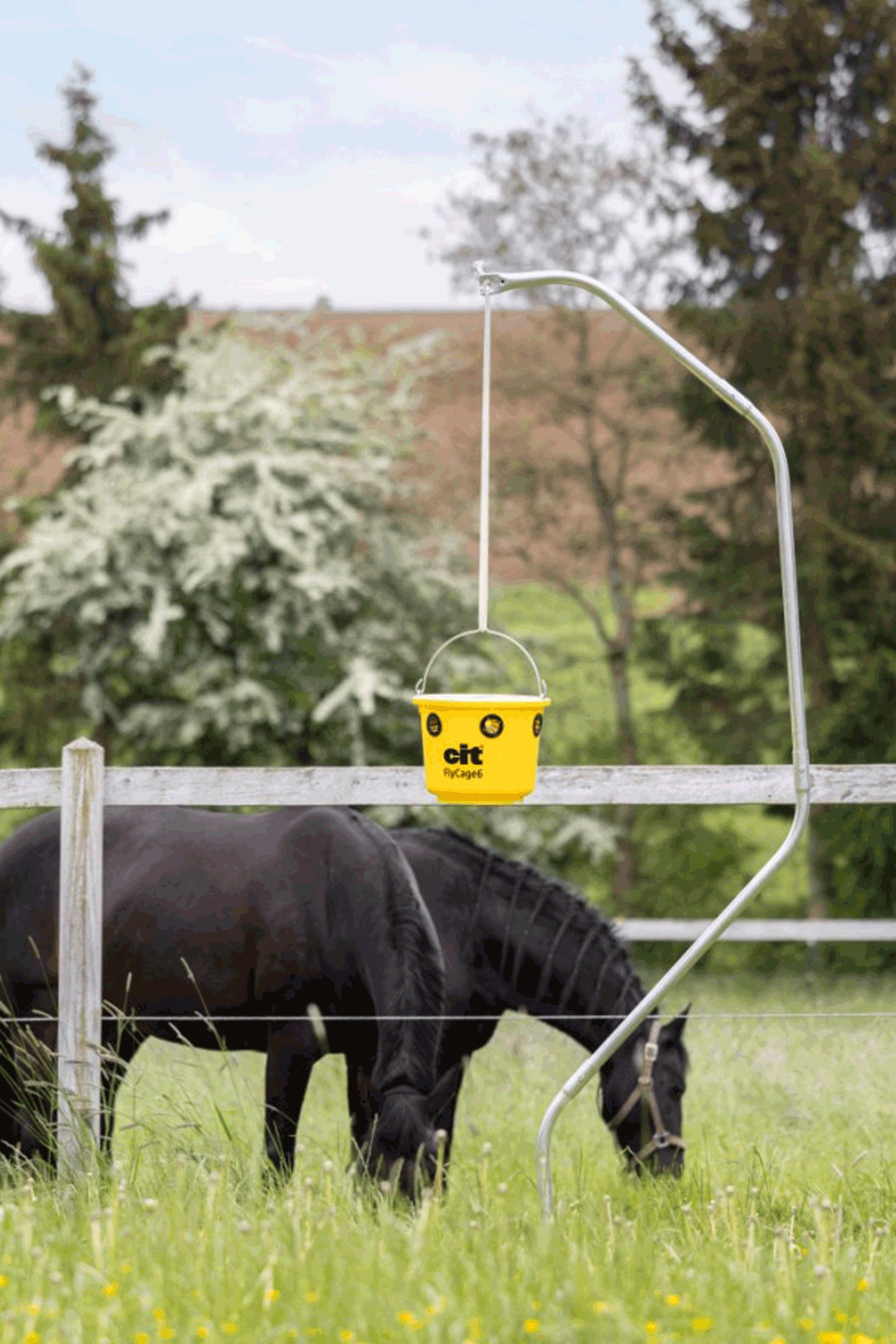 cit FlyCage 6 Fly Trap, Set incl. 750 g Attractant Antifly Protection for Horses