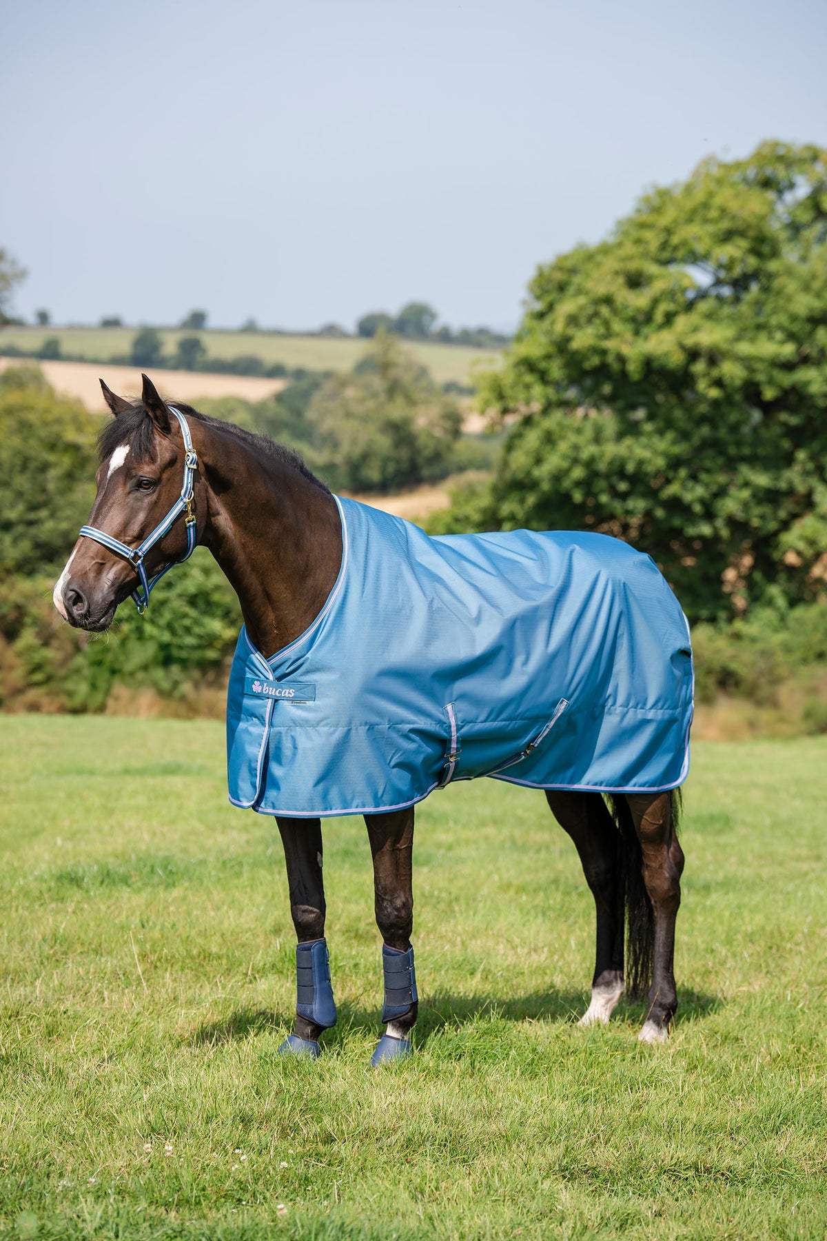 Bucas Freedom Pony Turnout Rug, 300g Horse Rugs