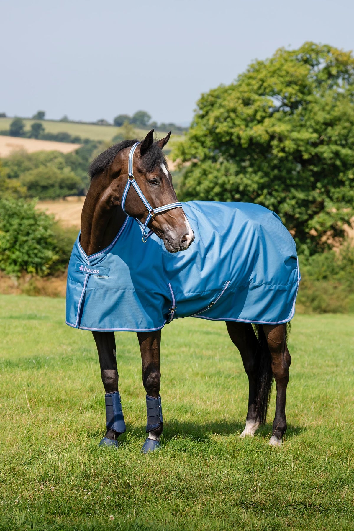 Bucas Freedom Pony Turnout Rug, 300g Horse Rugs