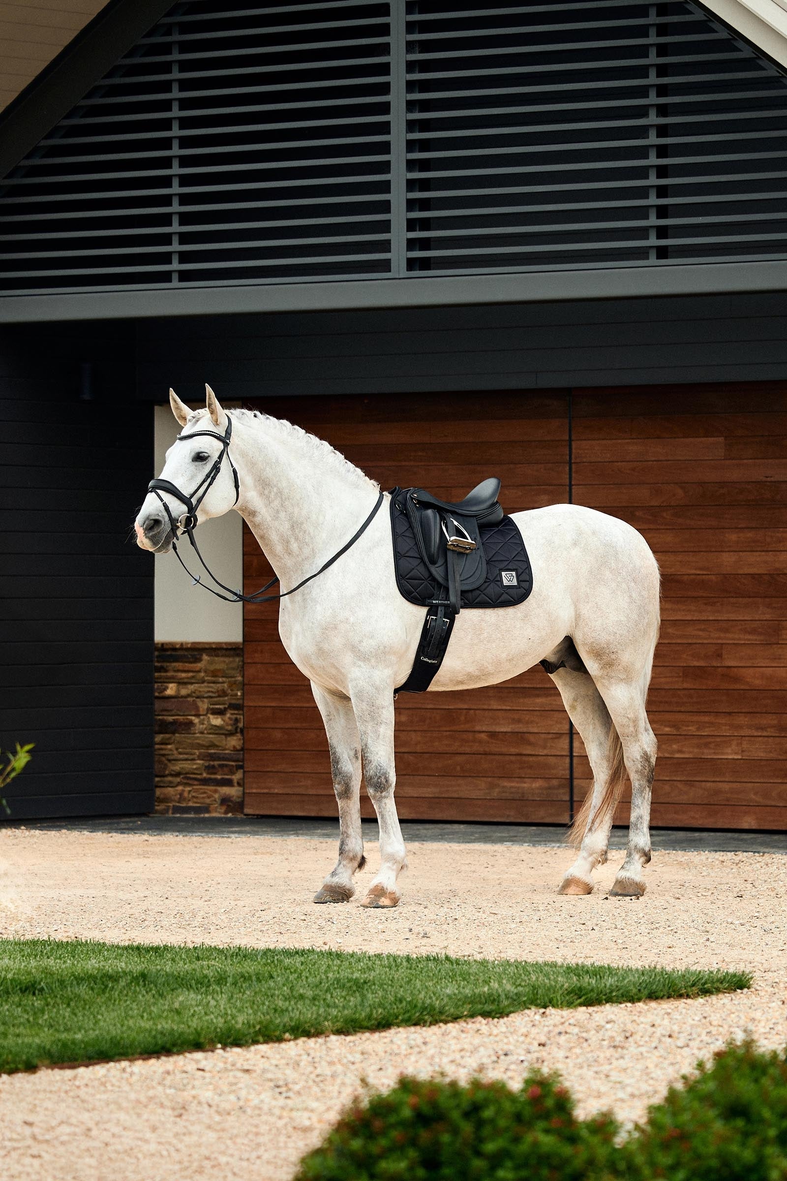 Weatherbeeta Satin Luxe Air-Tec Dressage Saddle Pad Saddle Pads