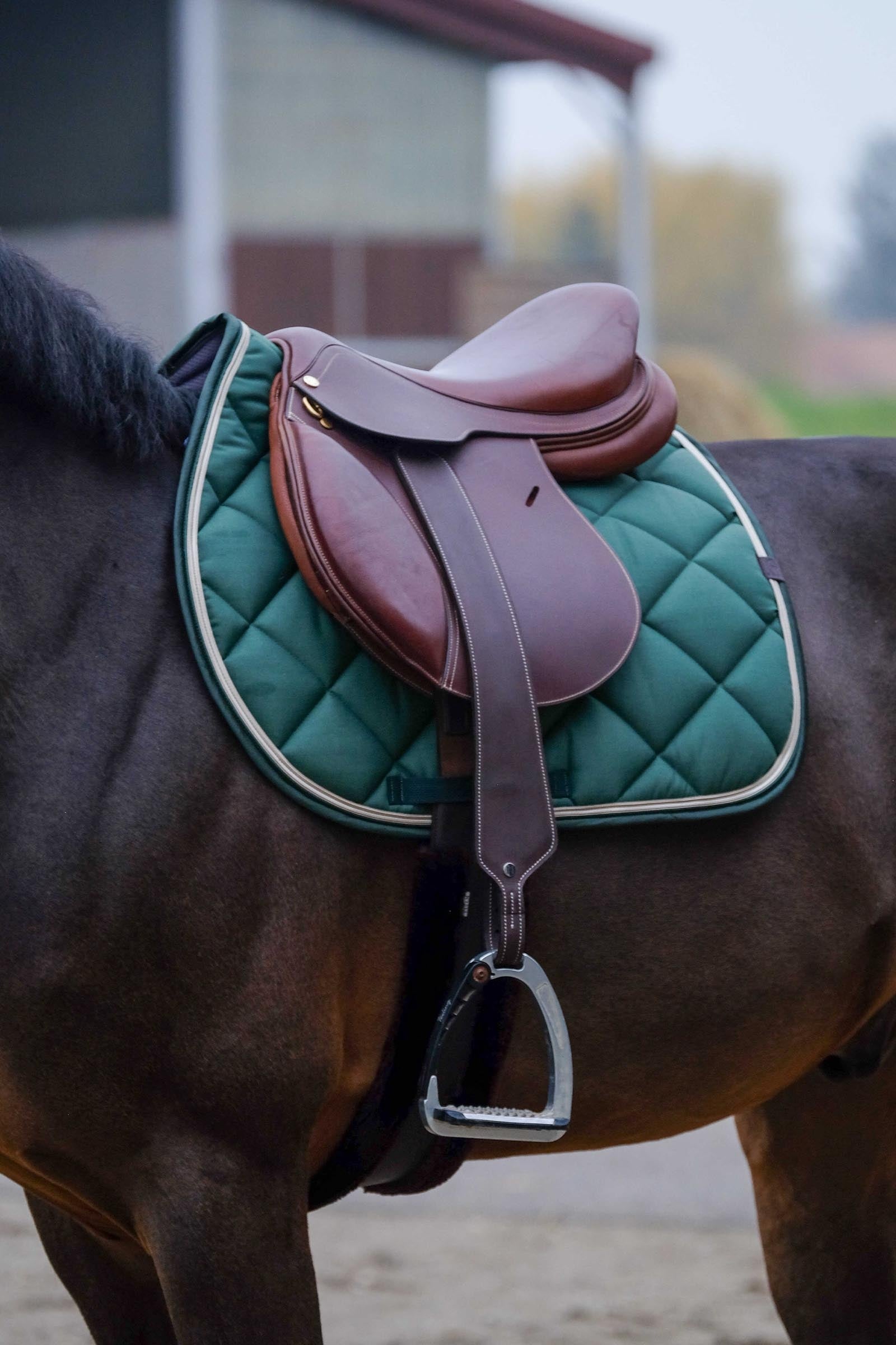 Equi Theme EQUITHÈME Classic Saddle Pad Saddle Pads
