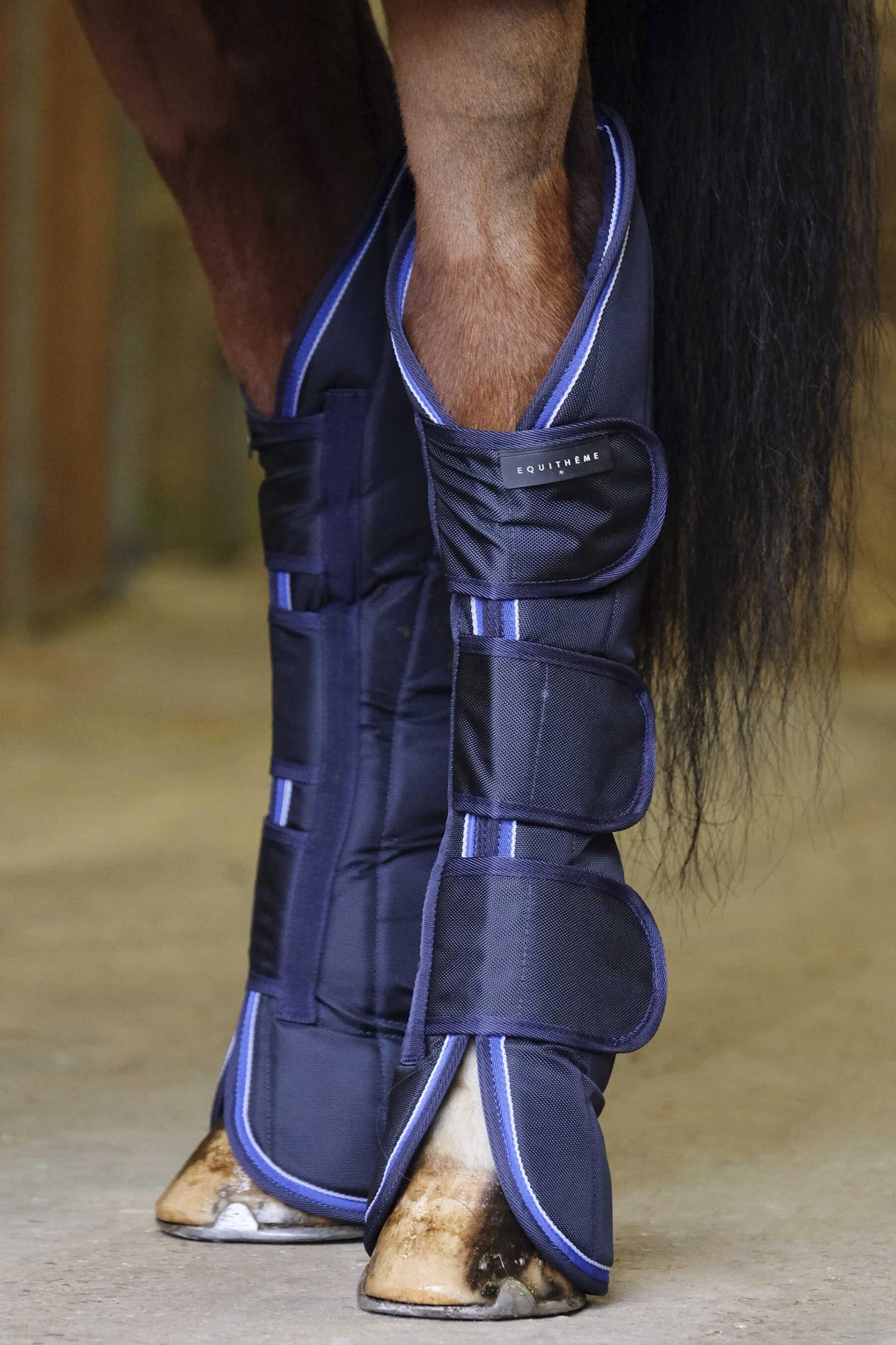 Equi Theme EQUITHÈME TYREX 1680D Transport Boots Leg & Hoof Protection