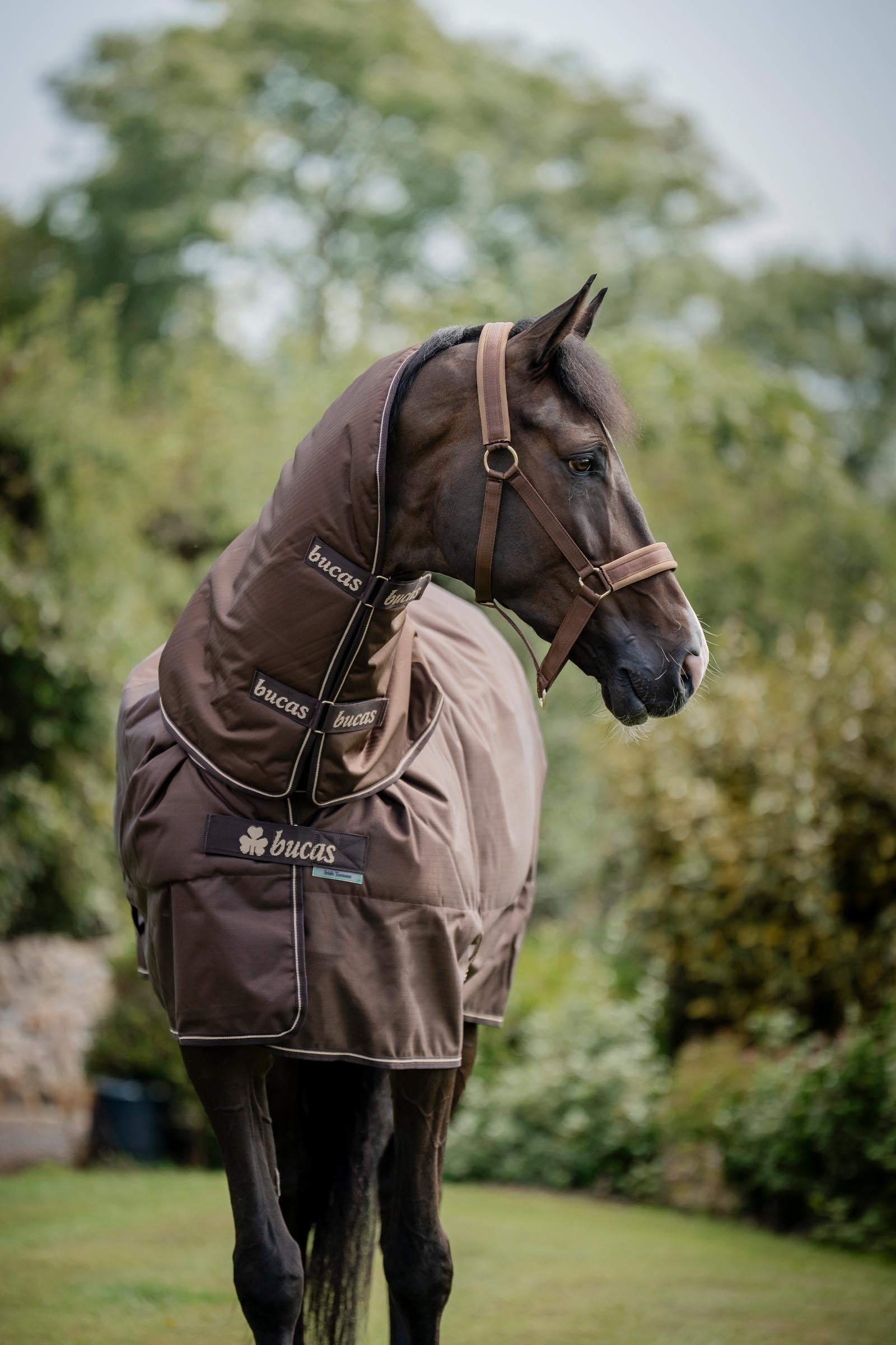 Bucas Irish Turnout 150 g Rug & Neck Set Horse Rugs