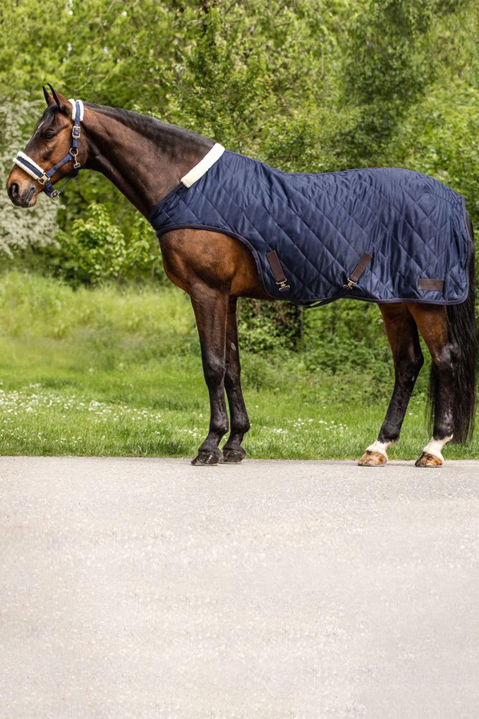 Waldhausen Führmaschinendecke Exclusive, 50 g Paardendekens