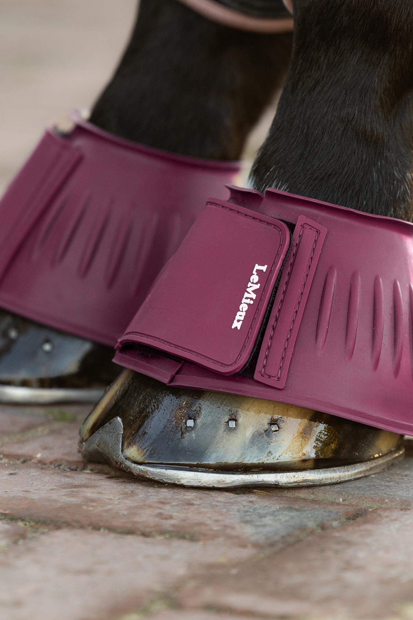 Lifestyle shot 2