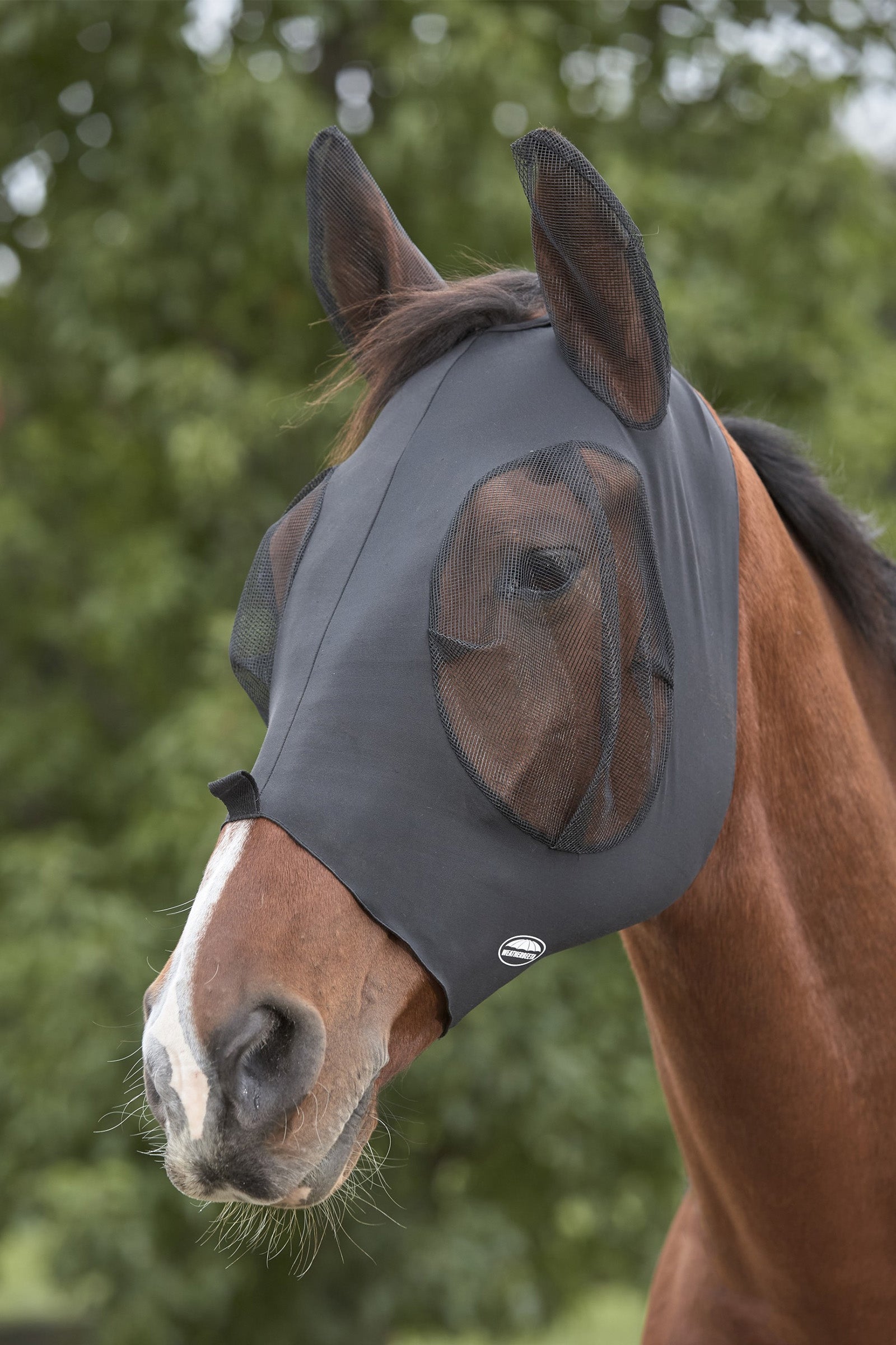Weatherbeeta Deluxe Stretch Bug Eye Saver with Ears Vliegenbescherming