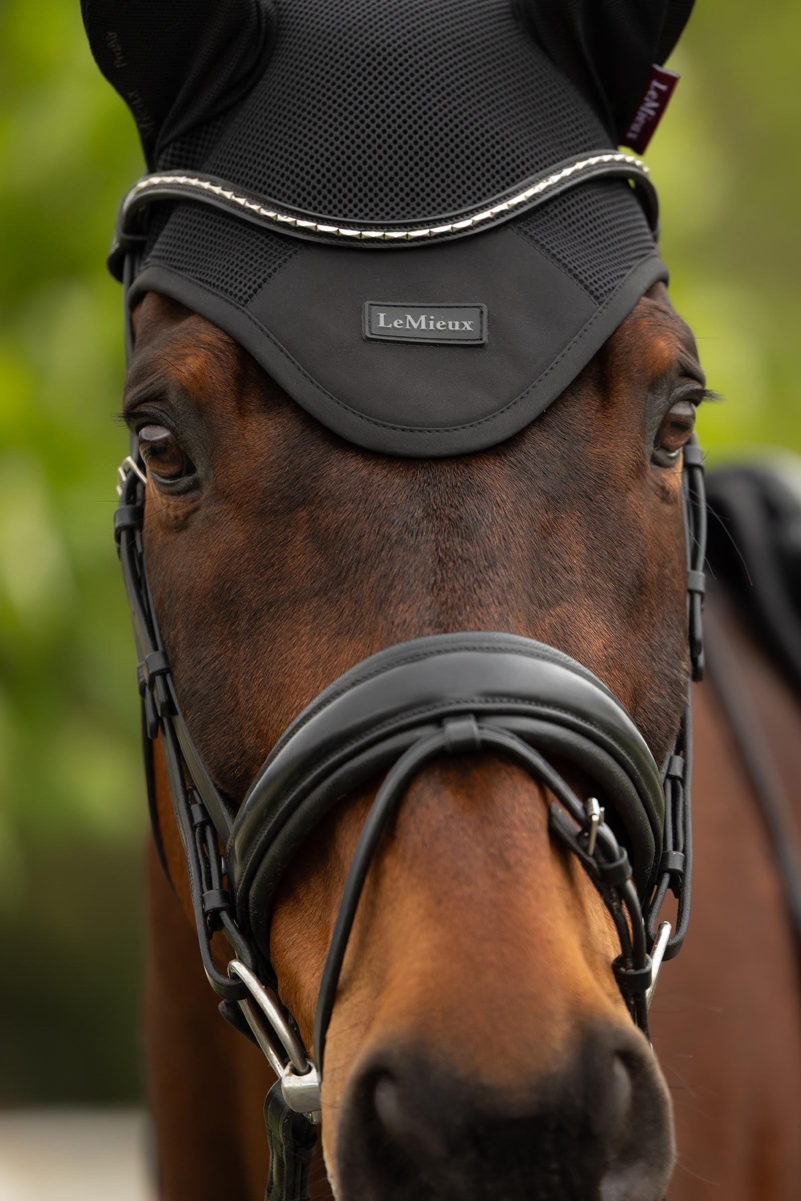 LeMieux Air-Tek Mesh Fly Hood Antifly Protection for Horses
